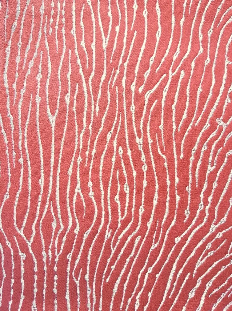 Fungia Corail | Corail