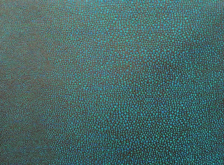 Grain de Galuchat | Abysse