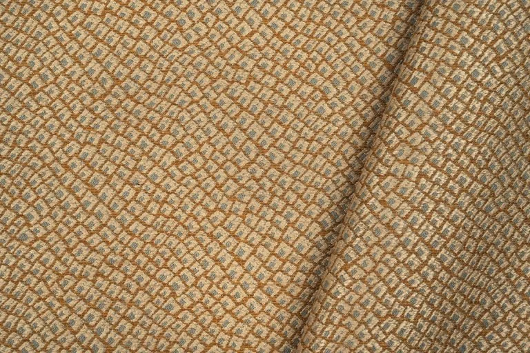 Fragment | Coquille