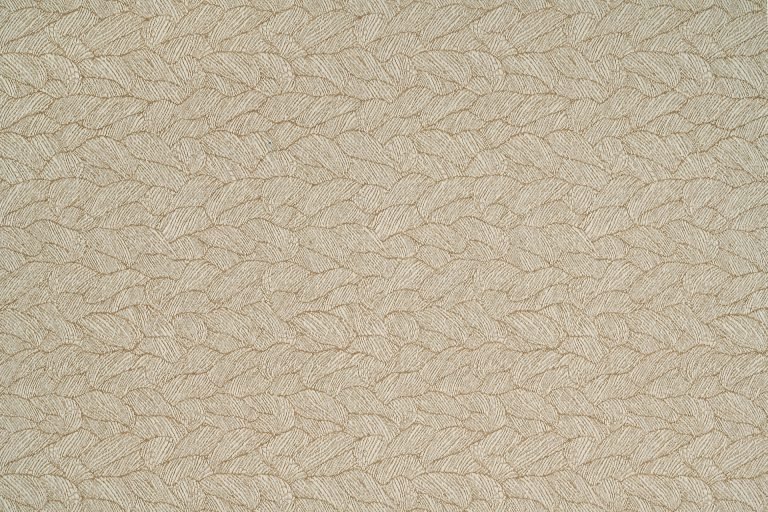 Ecorce | Coquille