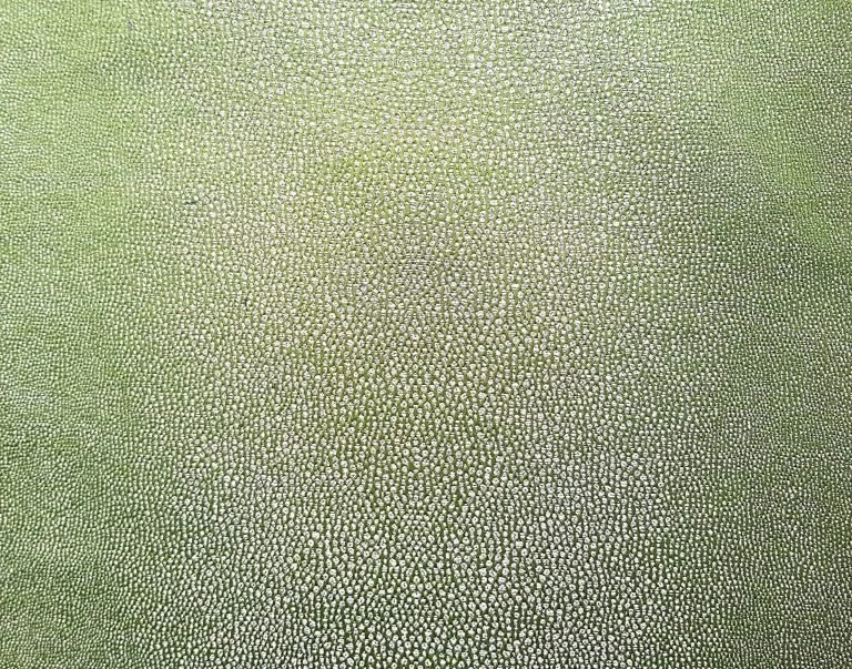 Grain de Galuchat | Olive
