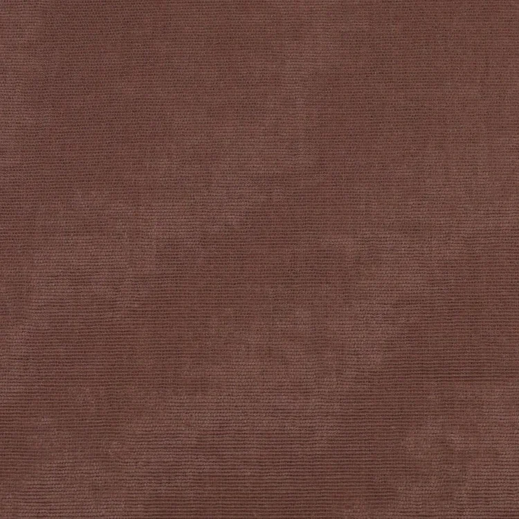 Bord de mer | Quessine | Clove