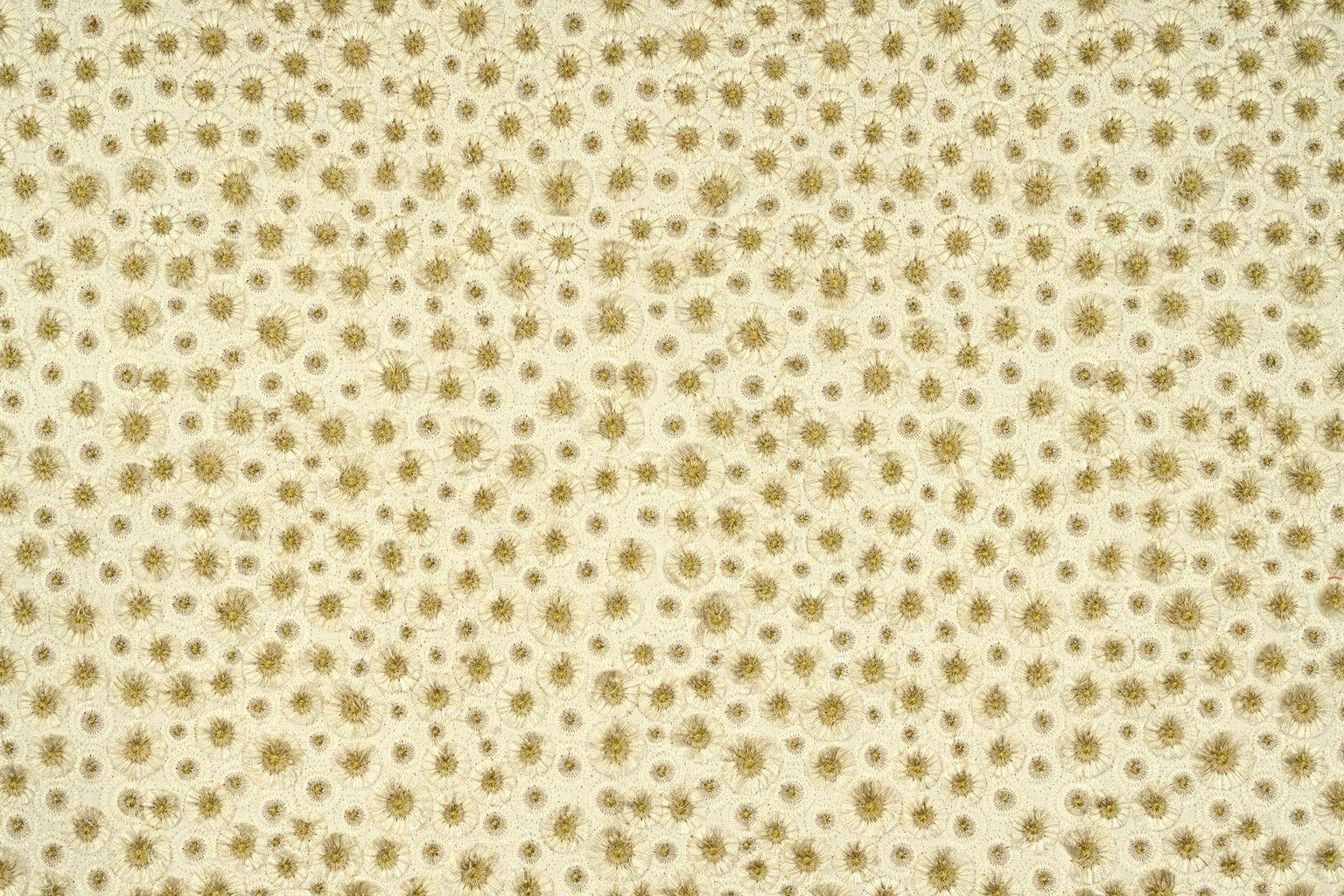 Fragrantia | Infusion