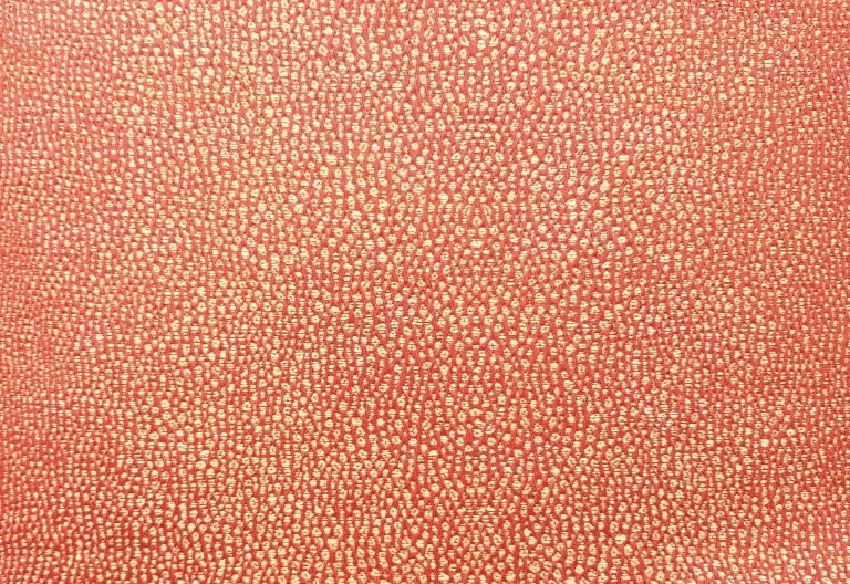 Grain de Galuchat | Saumon