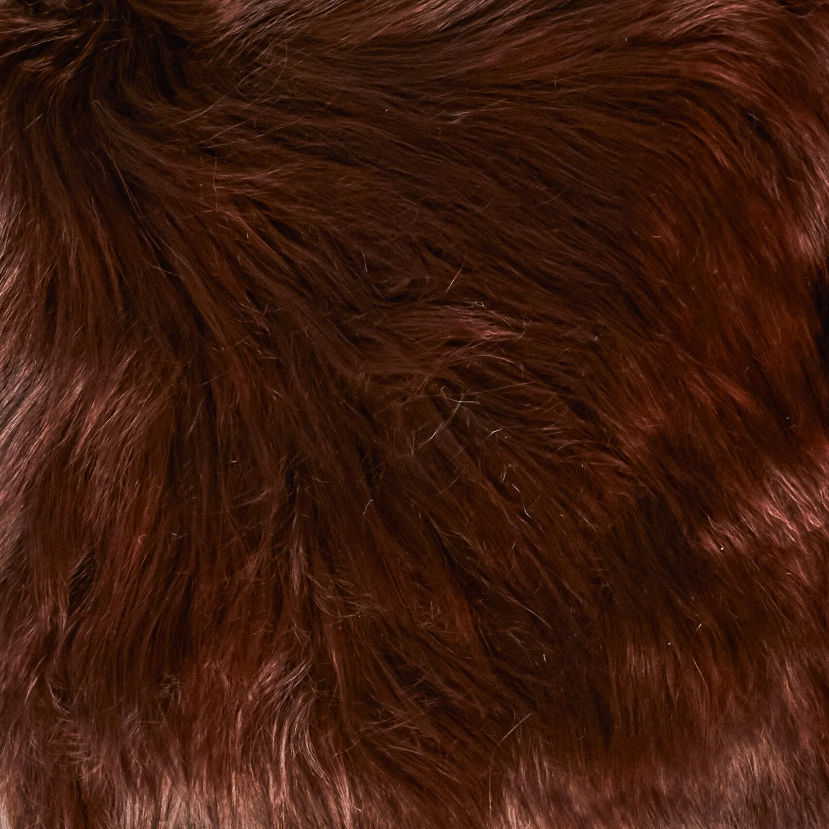 Suri | Chocolate
