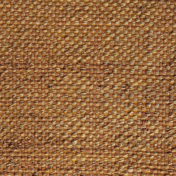 Dari | 04-19 Sunflower