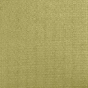 Bord de mer | Taillat | Genêts