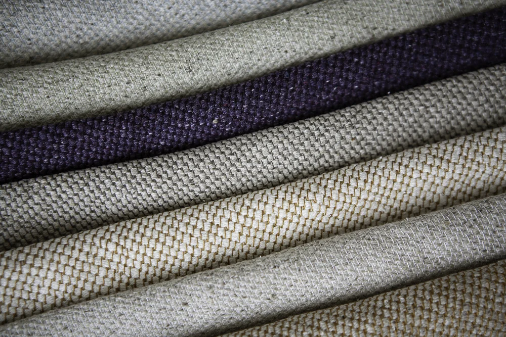 Fish Scale