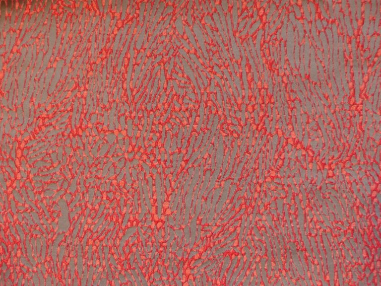 Gorgone | Corail