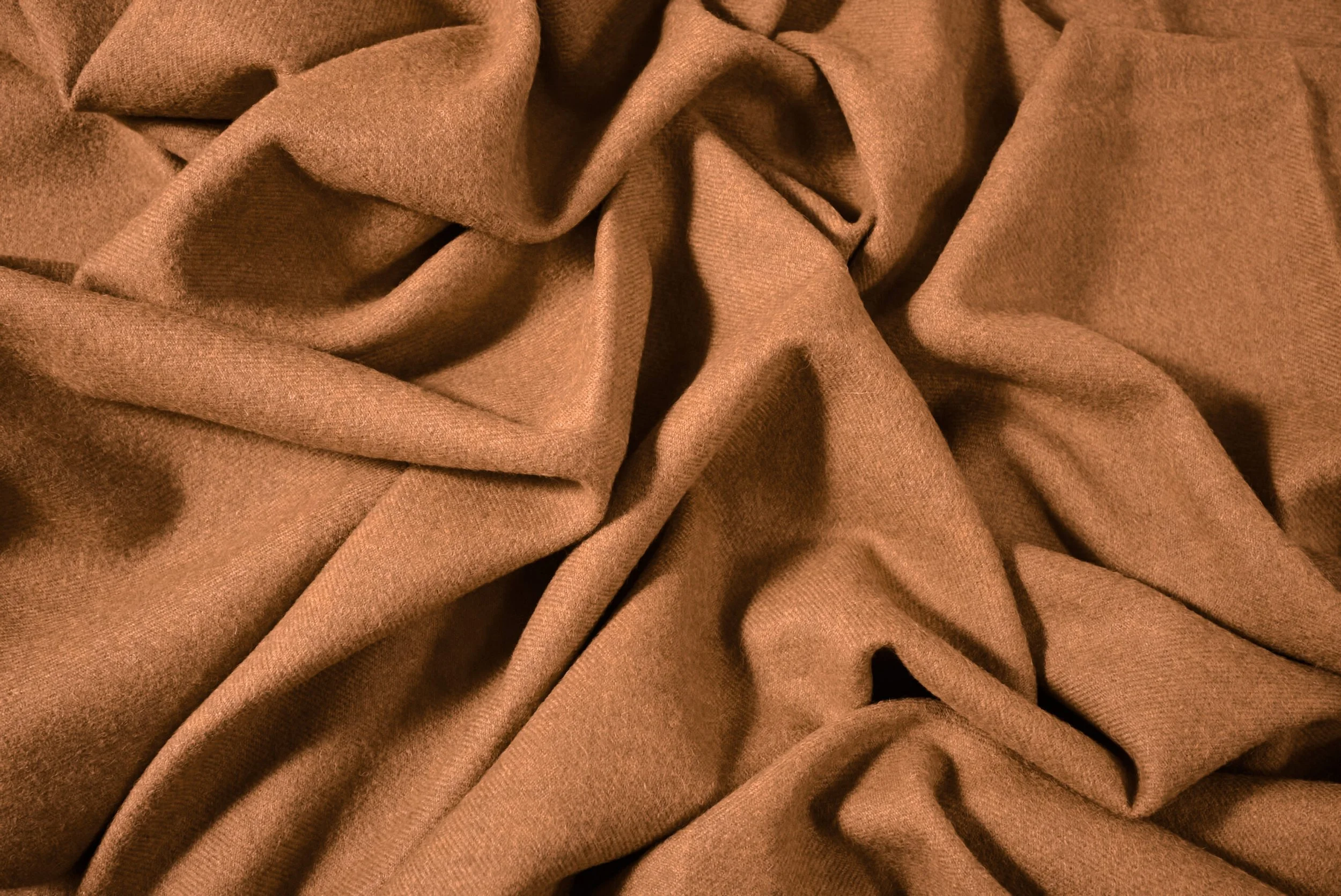 Essential | Camel