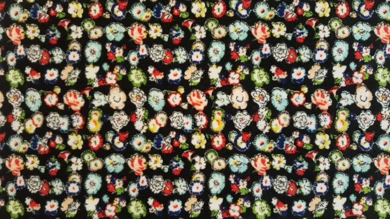 Printemps | Primaire