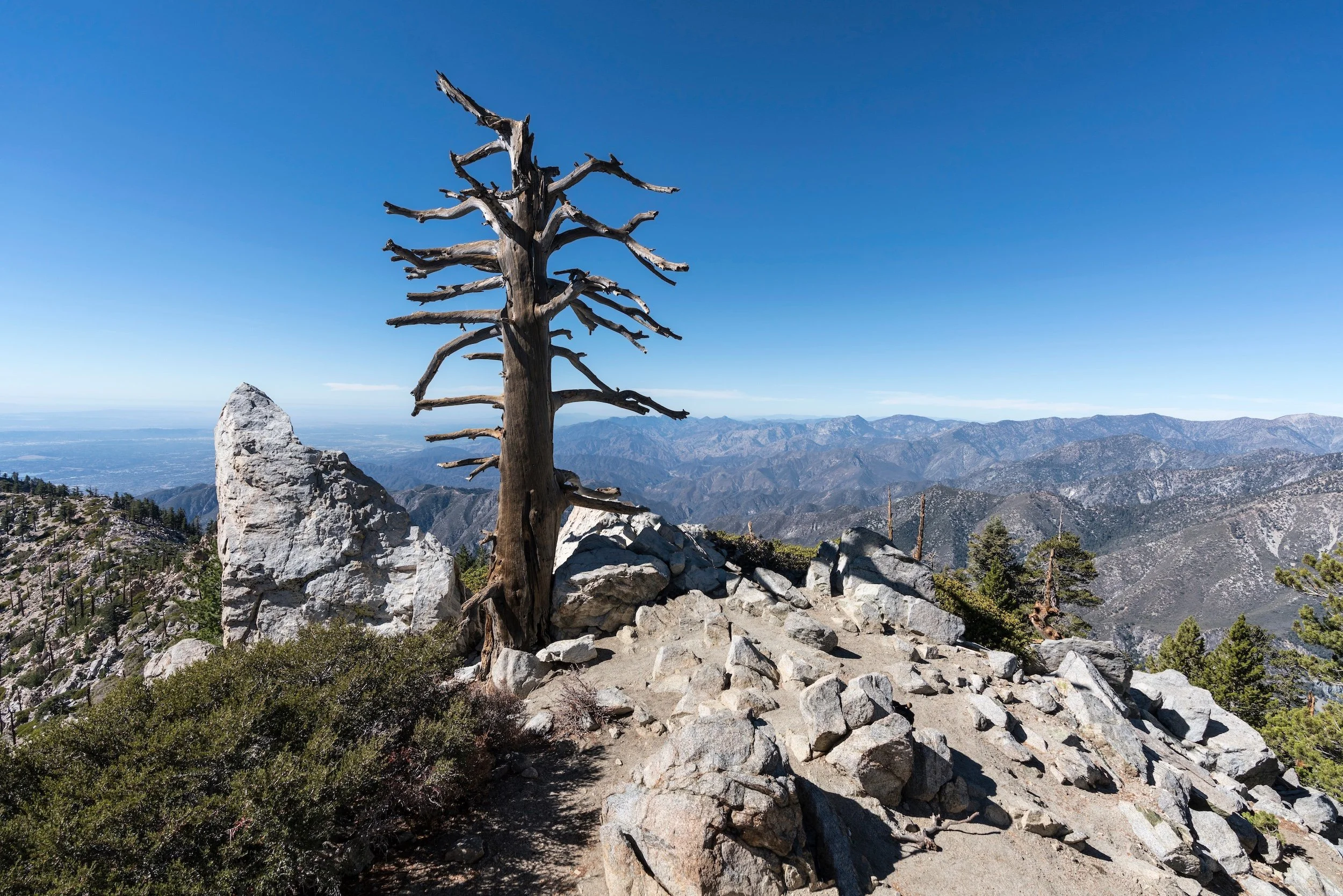 AdobeStock_466383418 (1).jpeg