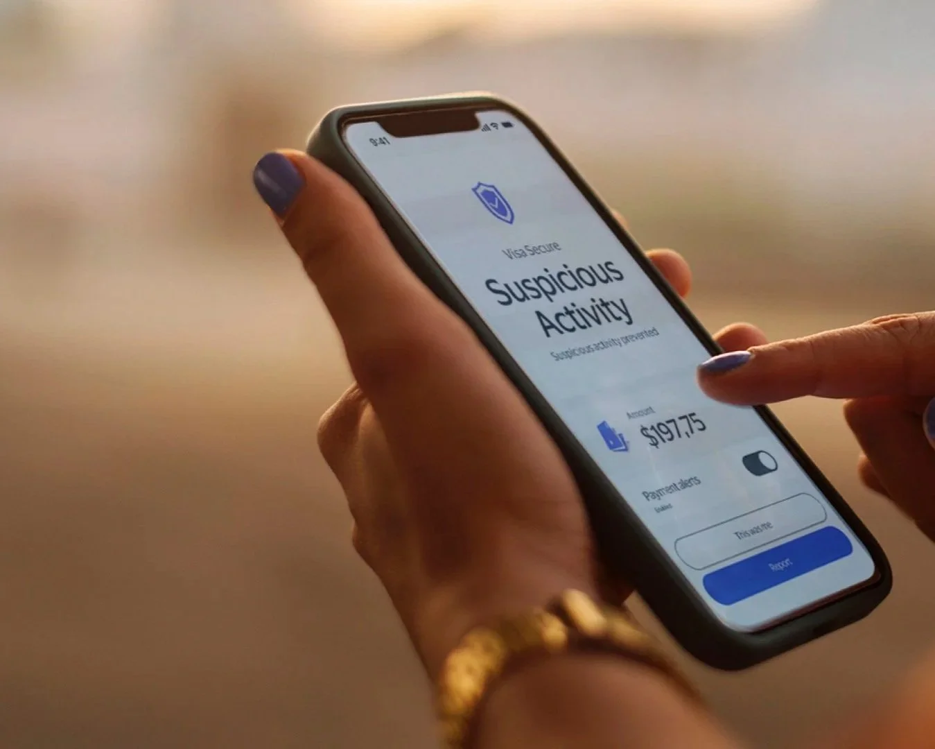 Visa Purchase Alerts