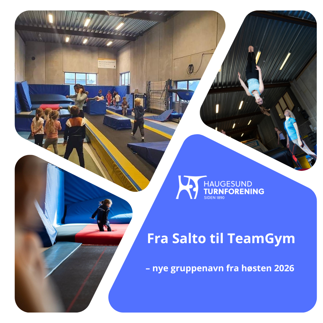 Fra Salto til TeamGym
