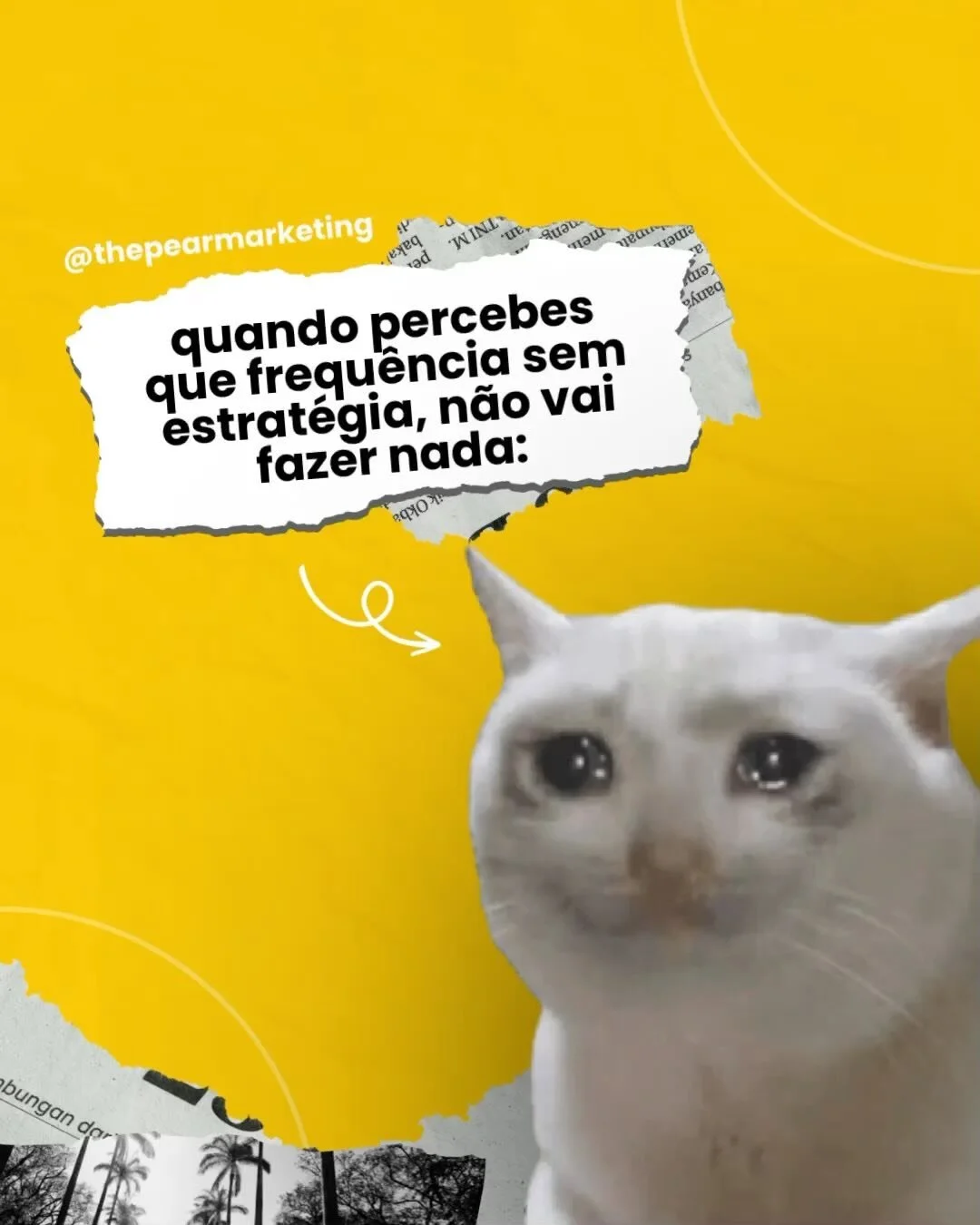 Embora muitos de n&oacute;s sejamos tentados a postar &quot;qualquer coisa&quot; nas nossas redes sociais, &eacute; importante lembrar que quantidade n&atilde;o necessariamente significa qualidade. 

Ter uma frequ&ecirc;ncia constante de postagens &e