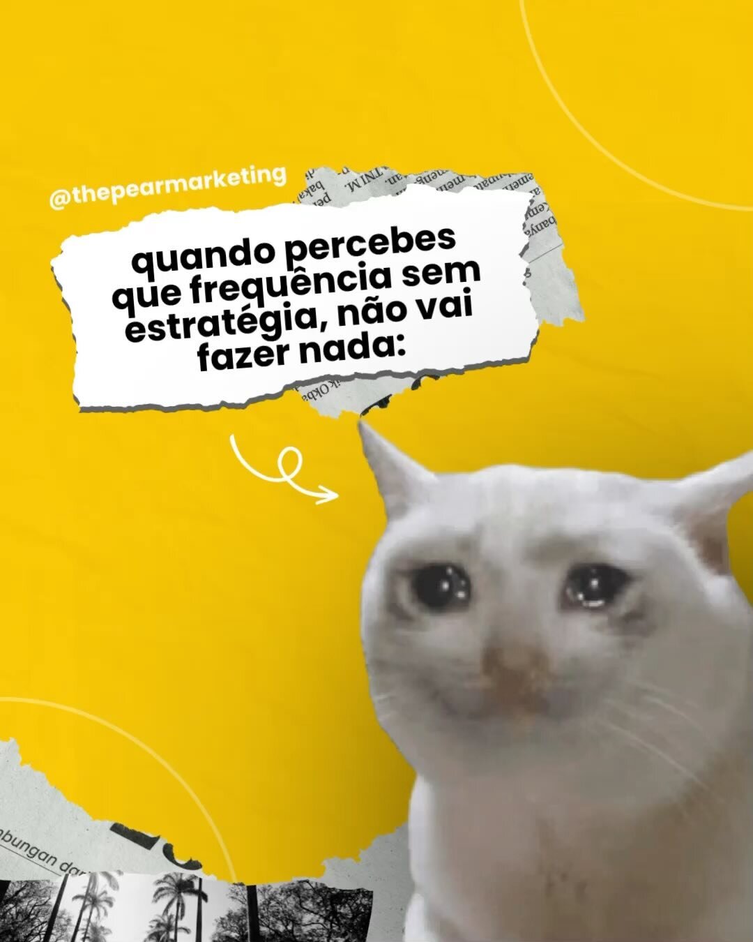 Embora muitos de nós sejamos tentados a postar "qualquer coisa" nas nossas redes sociais, é importante lembrar que quantidade não necessariamente significa qualidade.
Ter uma frequência constante de postagens &e