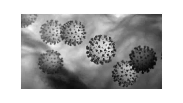 COVID 19 – Leadership and Teamwork Were Never More Important – Supporting Our Clients