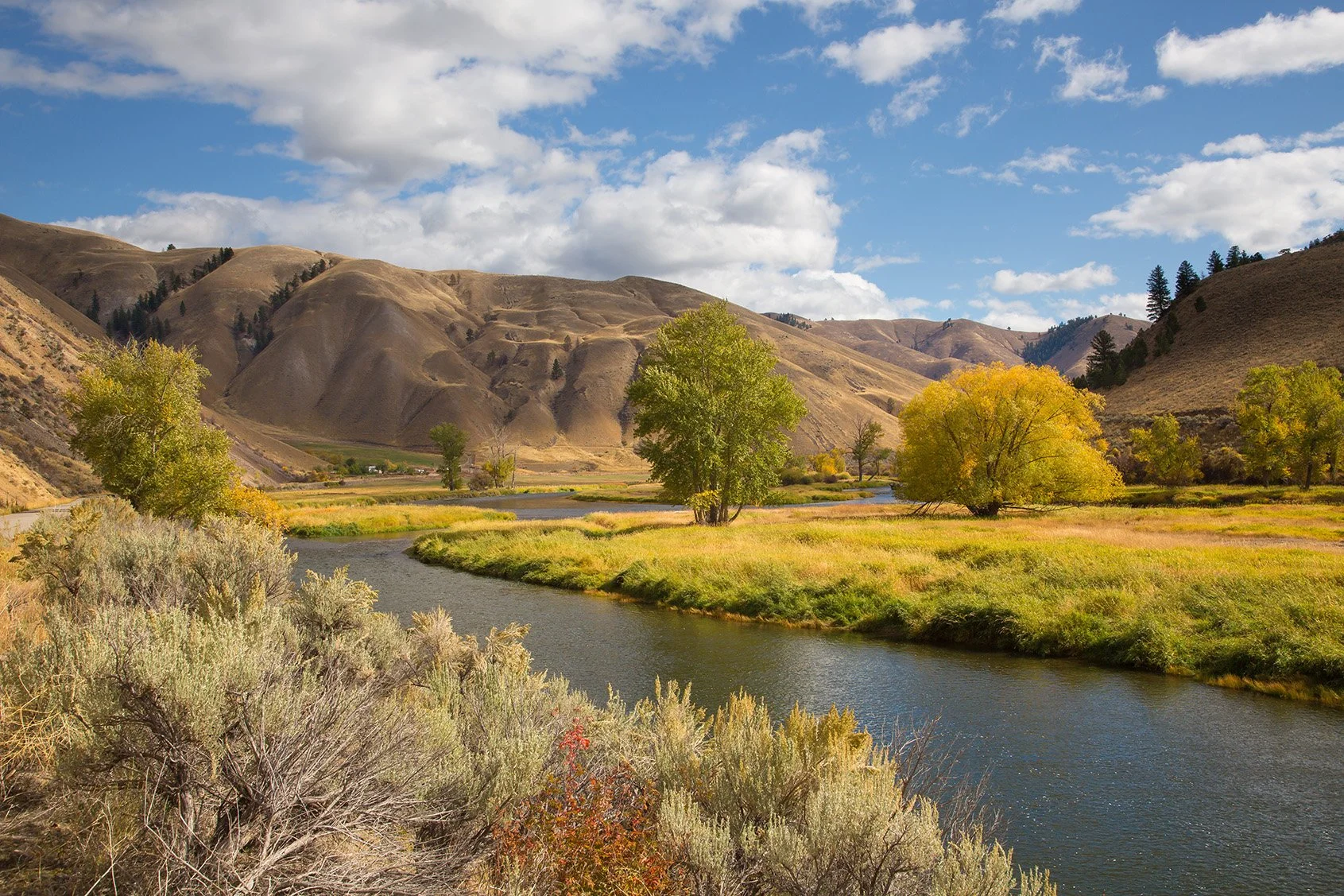 board of directors image.jpg