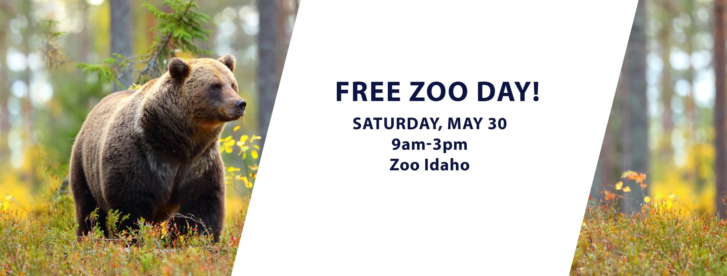 website banner 2026.jpg