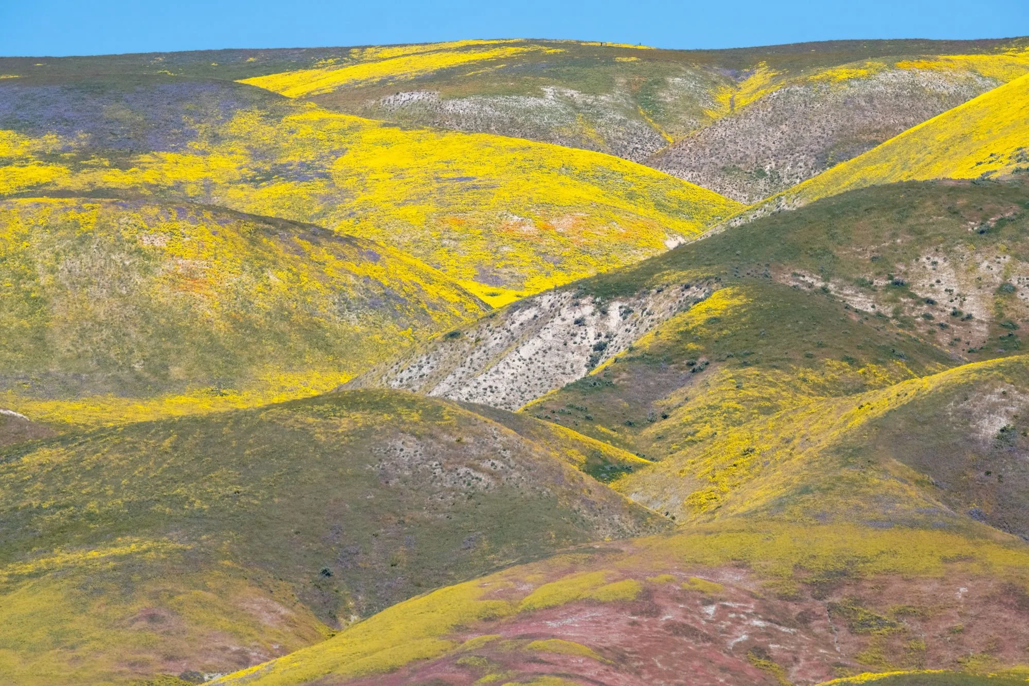 Online Banking 2.jpeg