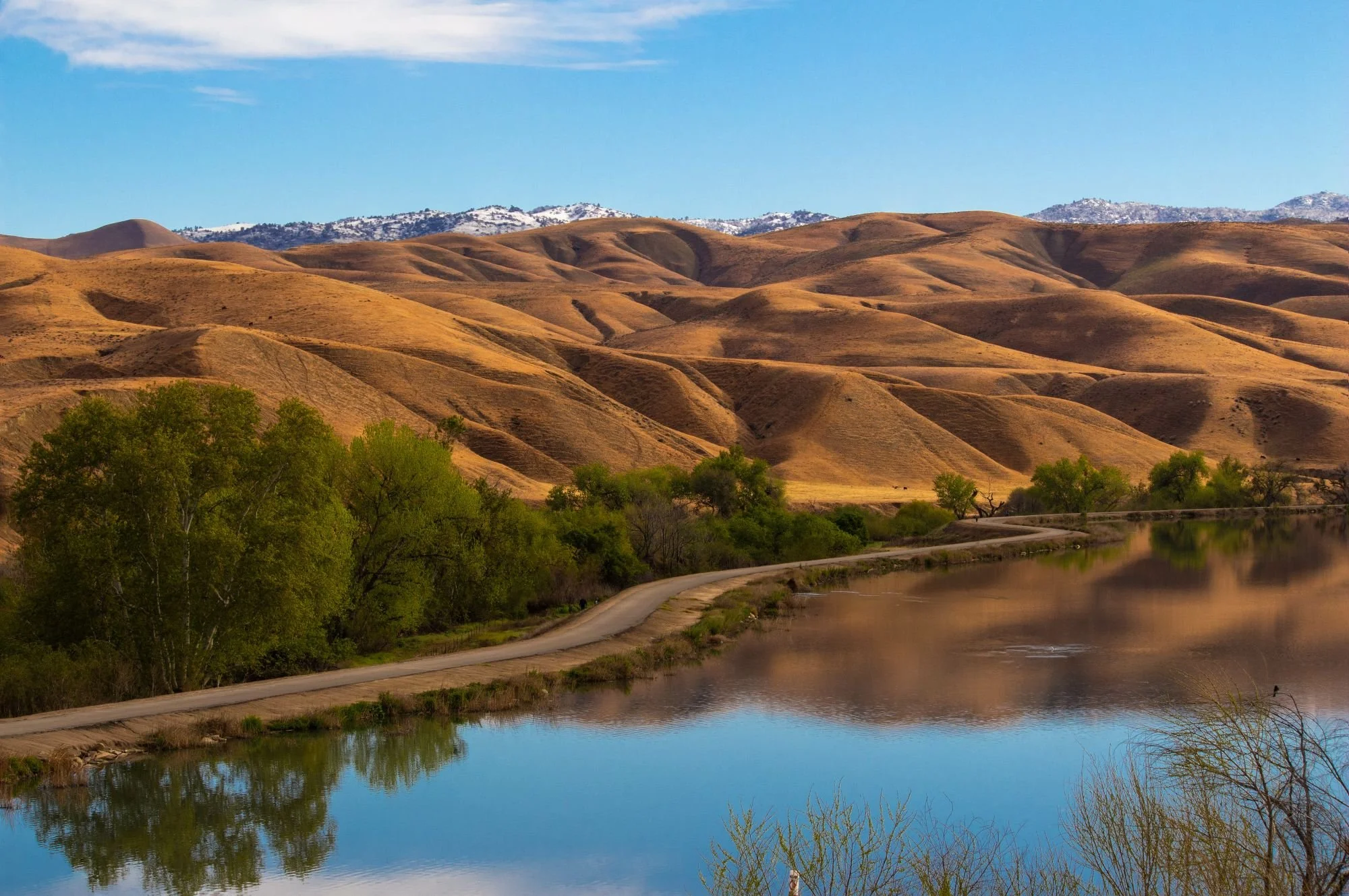 Virtual Branch 2.jpeg