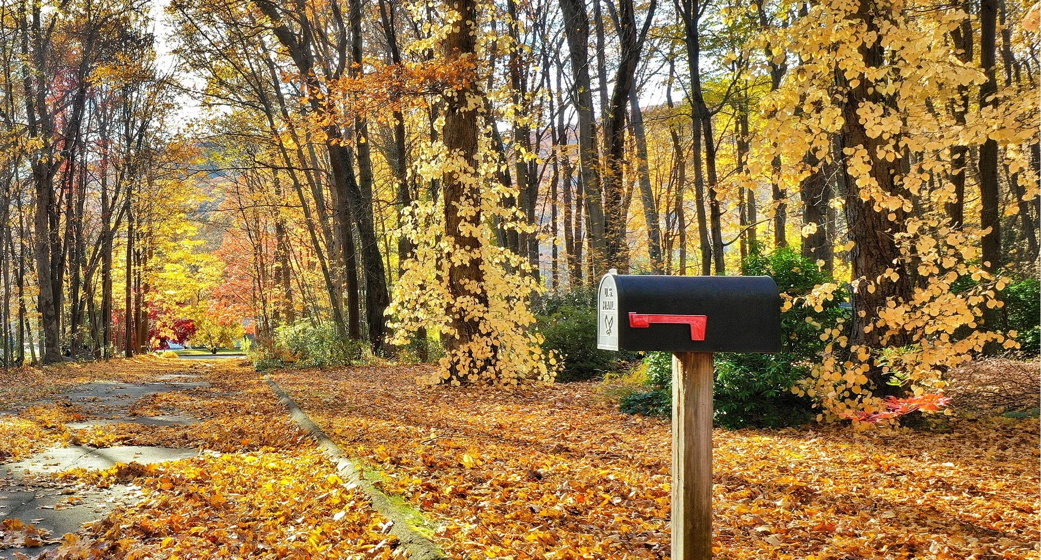 A Little More Security. A Little Less Paper.