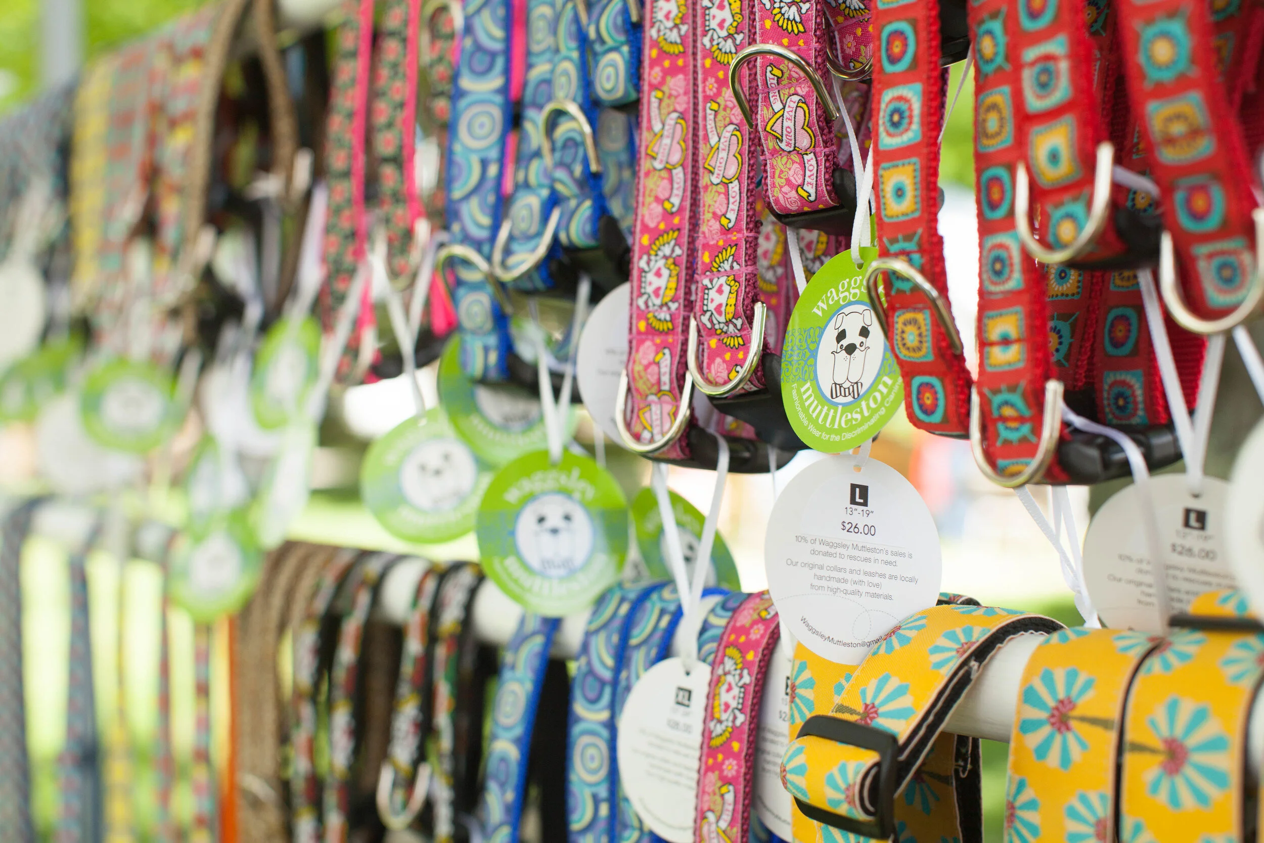 A Very Waggsley Winter