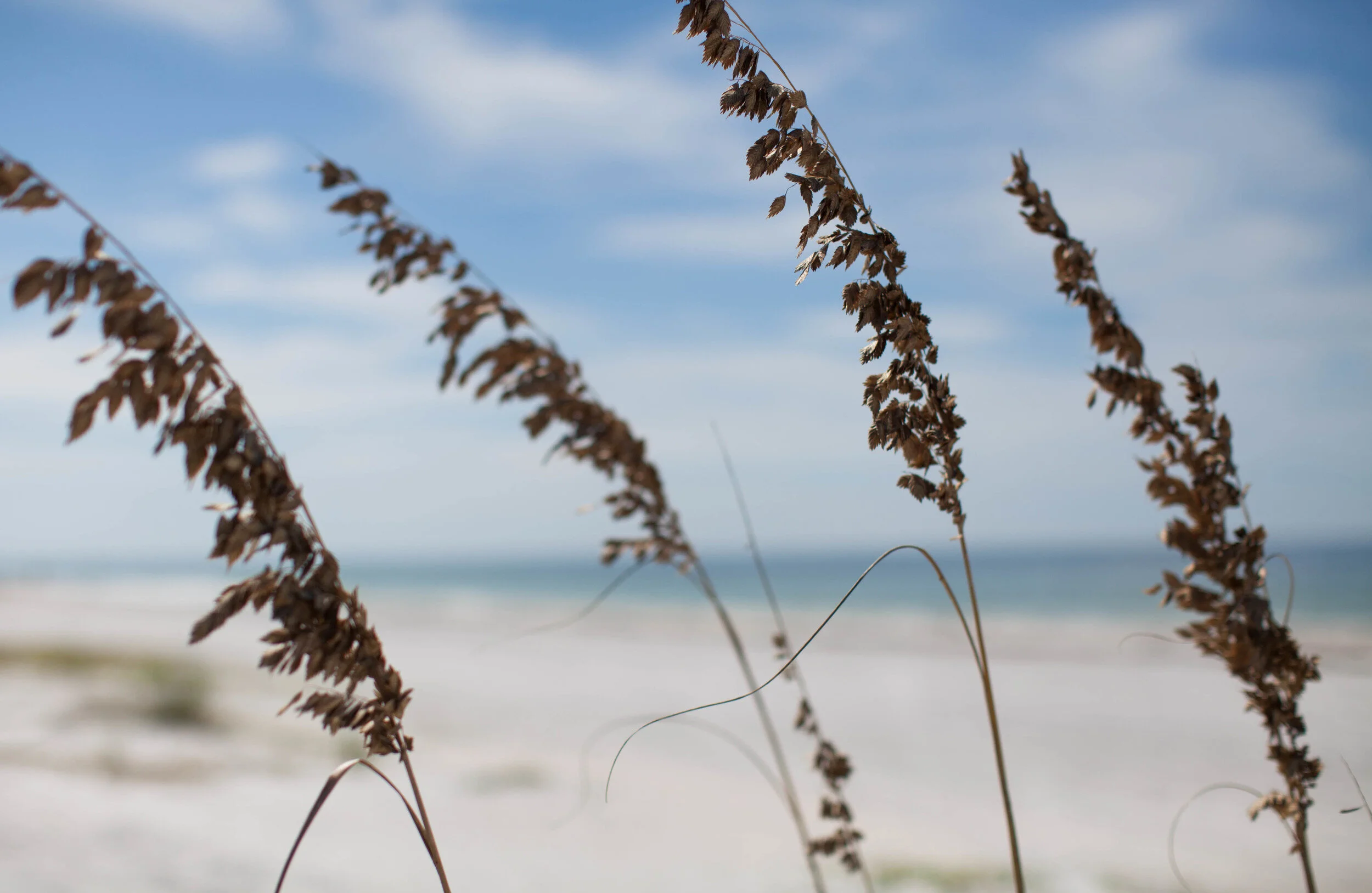 Flashback to Florida