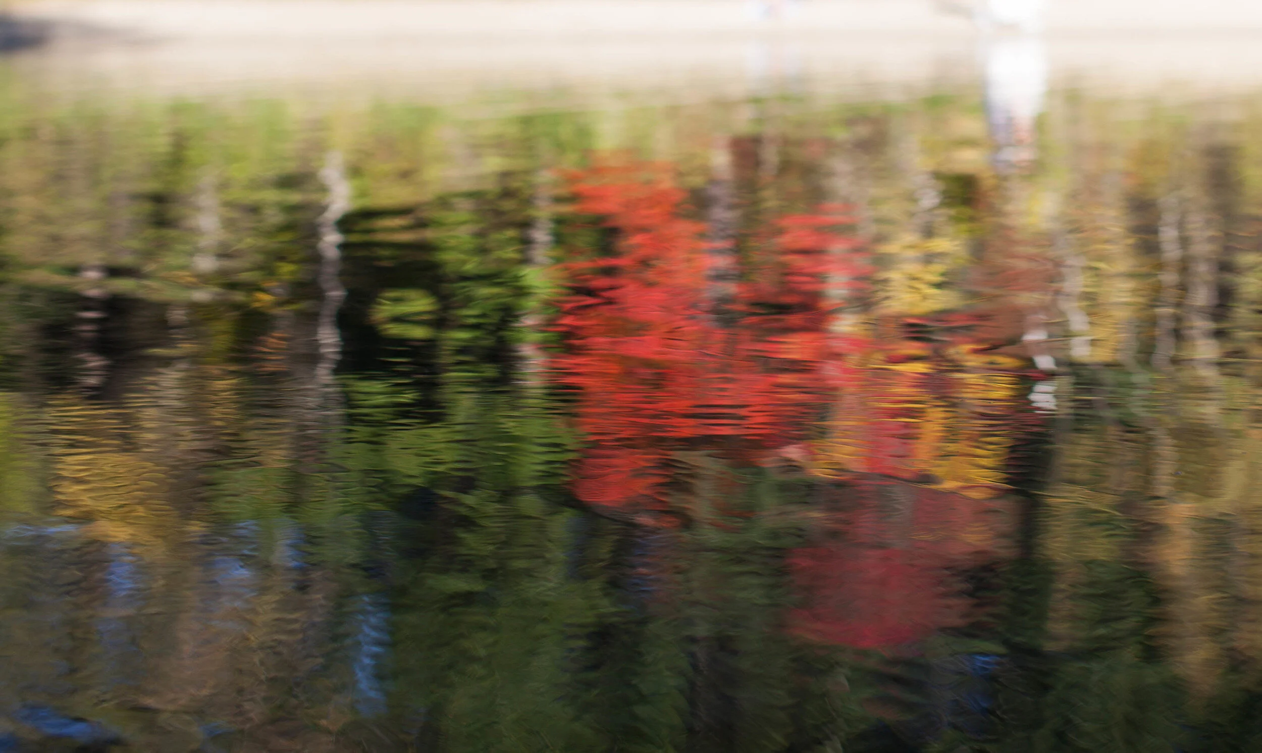 2014: Pictorial Review