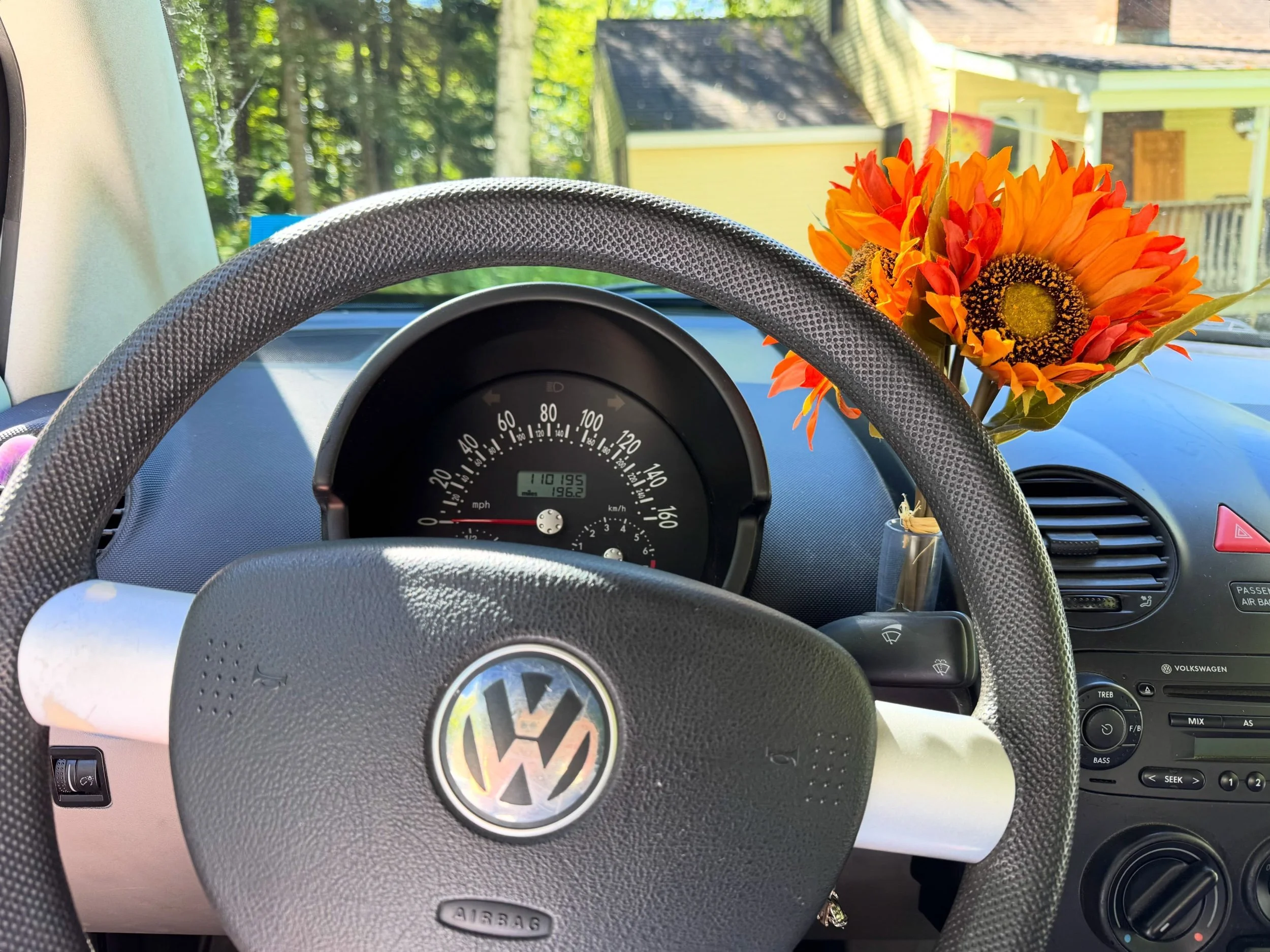 My favorite bug bouquet of the year lands during my favorite time of year! 🍂

Gifted by @paige.oliviaaaa. 
Found at @maison_boheme77 

Maison Boheme has the best selection of imitation flowers in the area! Heading there soon to find a Halloween bouq