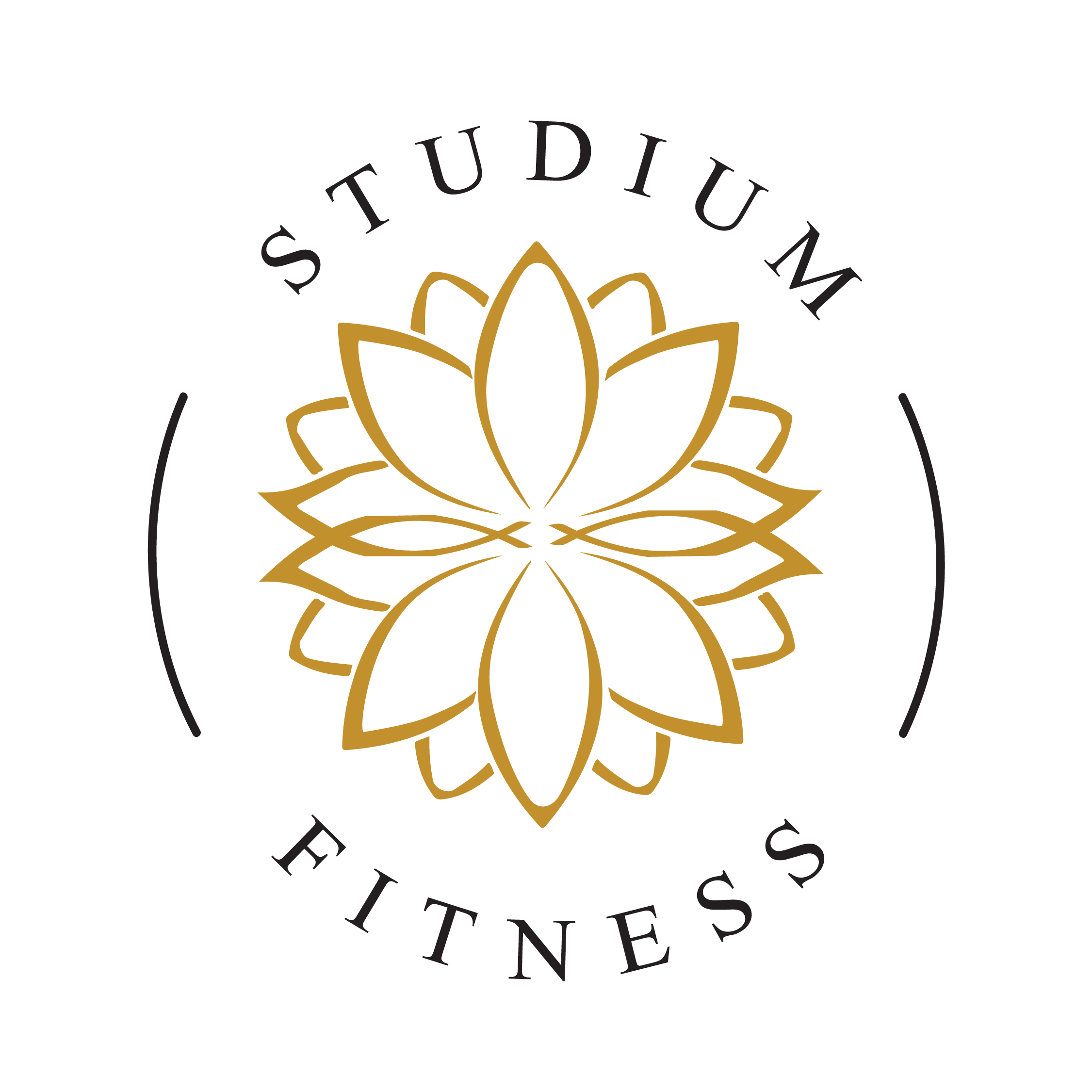 Logo of Studium Fitness, based in Danville, VT and Littleton, NH.