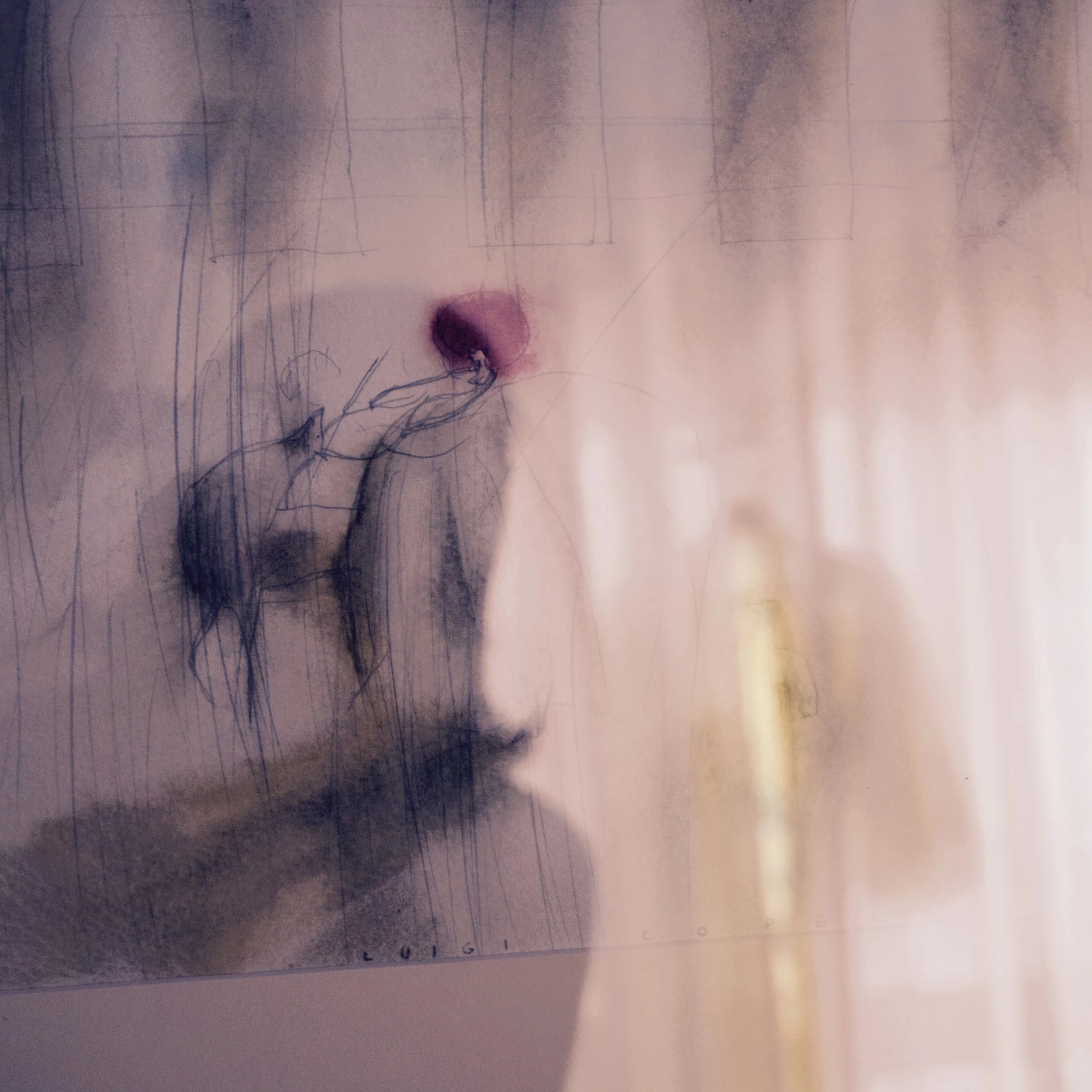 2_LE COSE ATTORNO.jpg