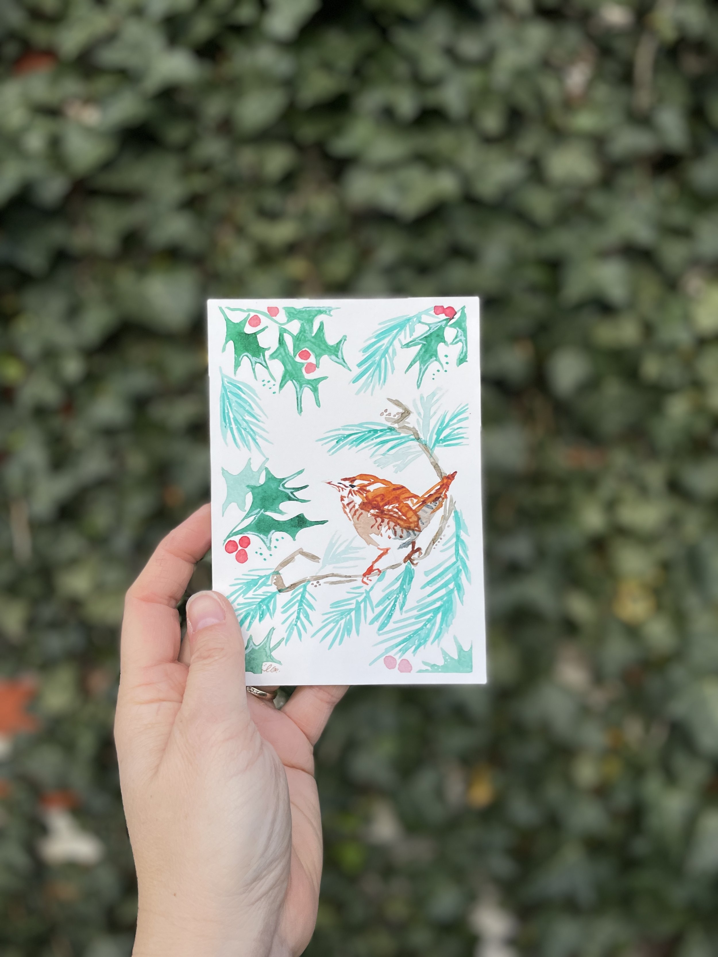 Christmas Wren card