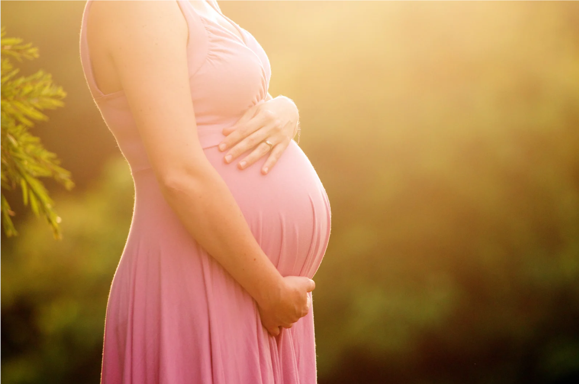 Pregnancy &amp; The Parasympathetic System: Supporting Calm, Comfort &amp; Regulation