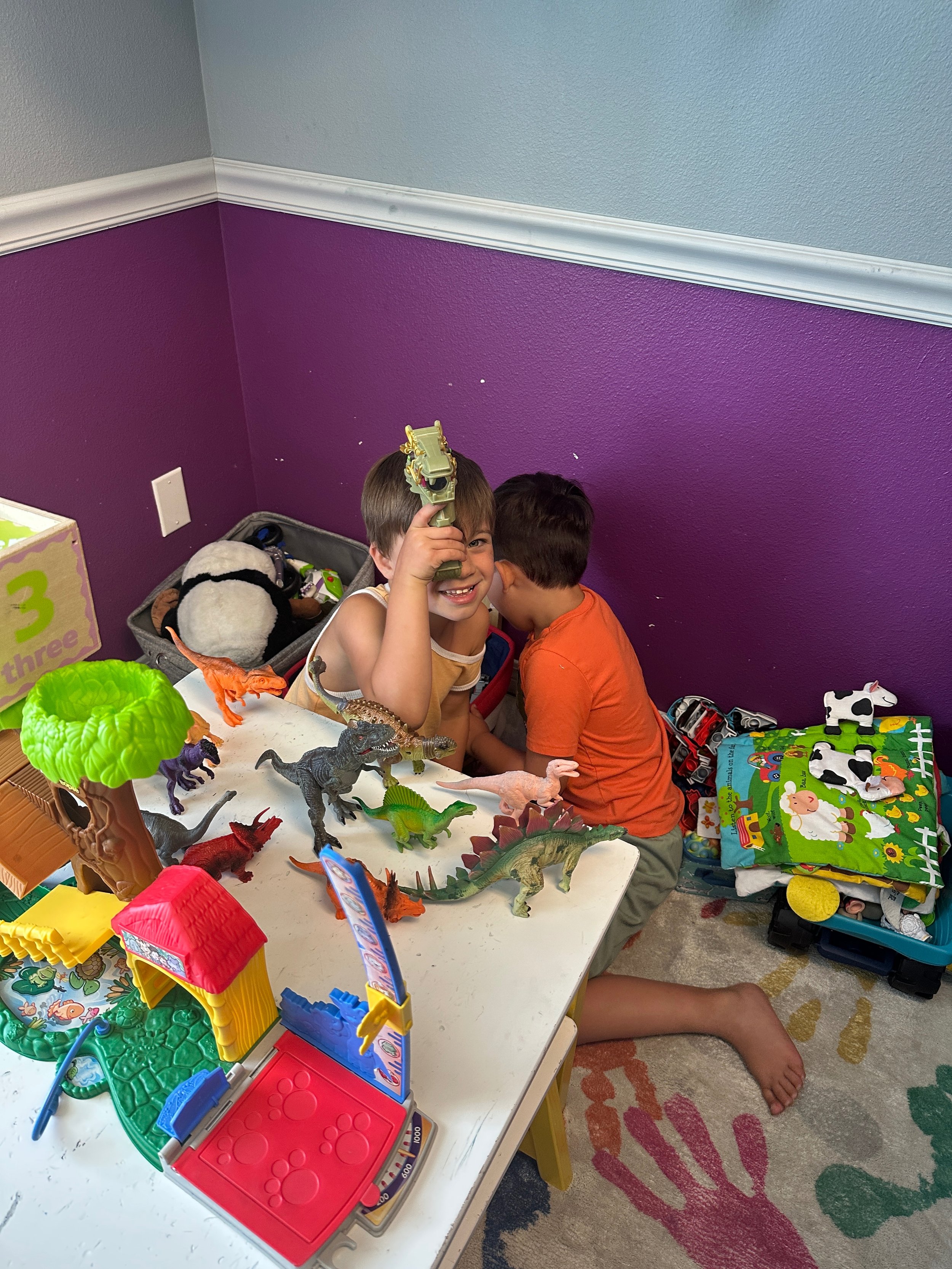 ADHD &amp; The Vagus Nerve: A Neurological Approach to Attention and Regulation