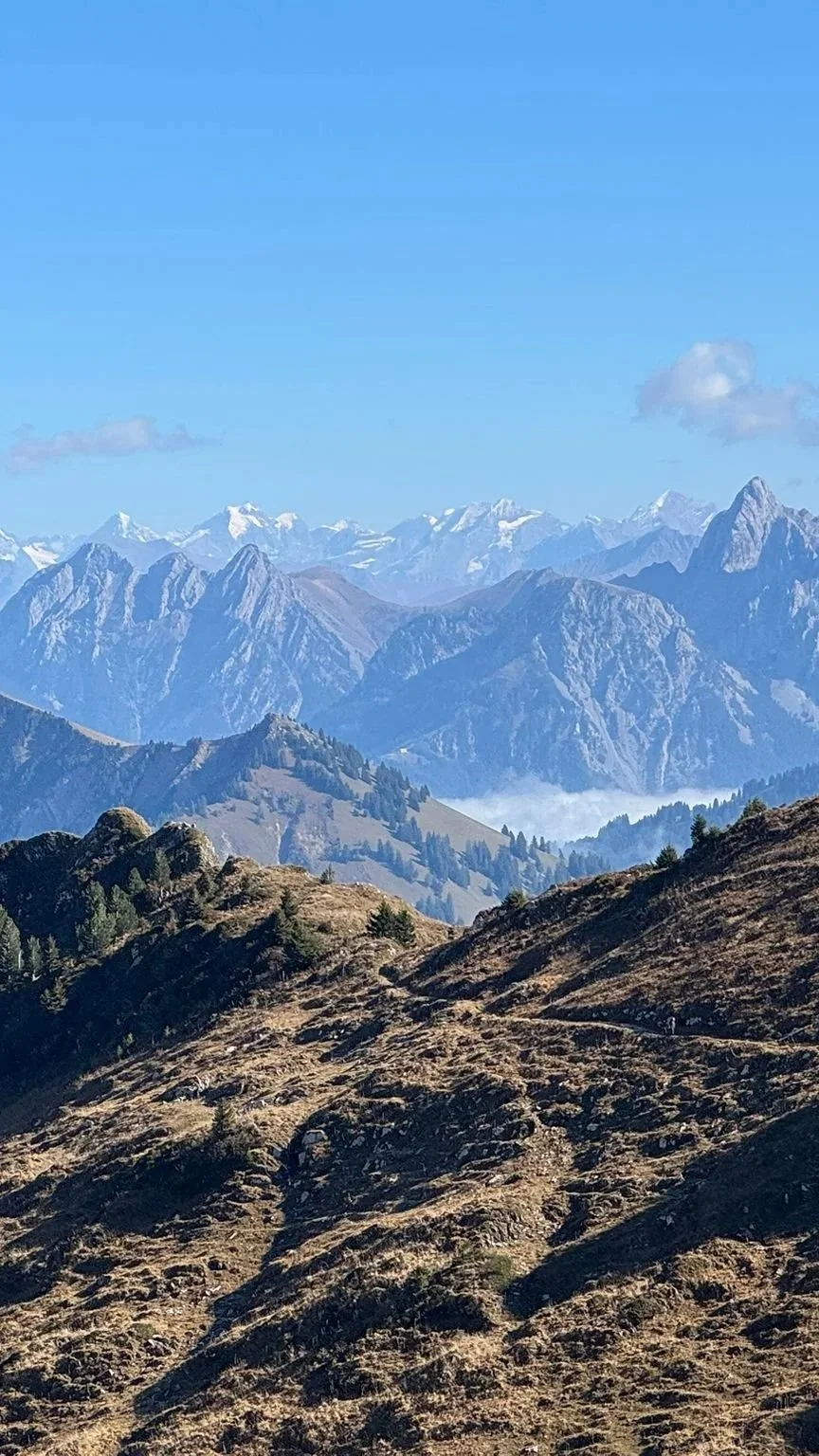 Scenic mountain landscape with rugged hills in the foreground, dense forests, and snow-capped peaks in the distance under a blue sky with a few clouds.