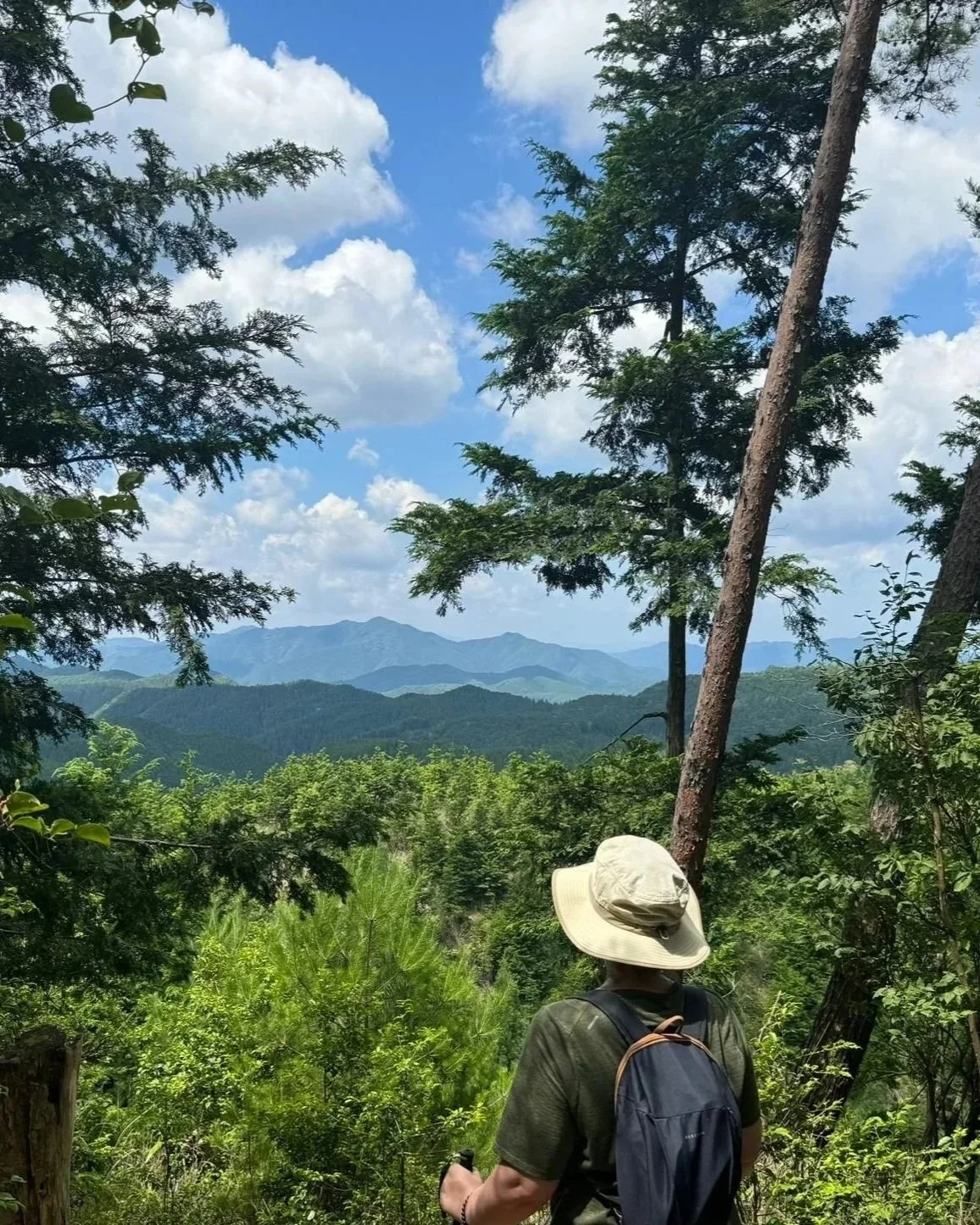 A person wearing a wide-brimmed hat and backpack hiking through a lush green forest with mountains in the distance under a partly cloudy sky.