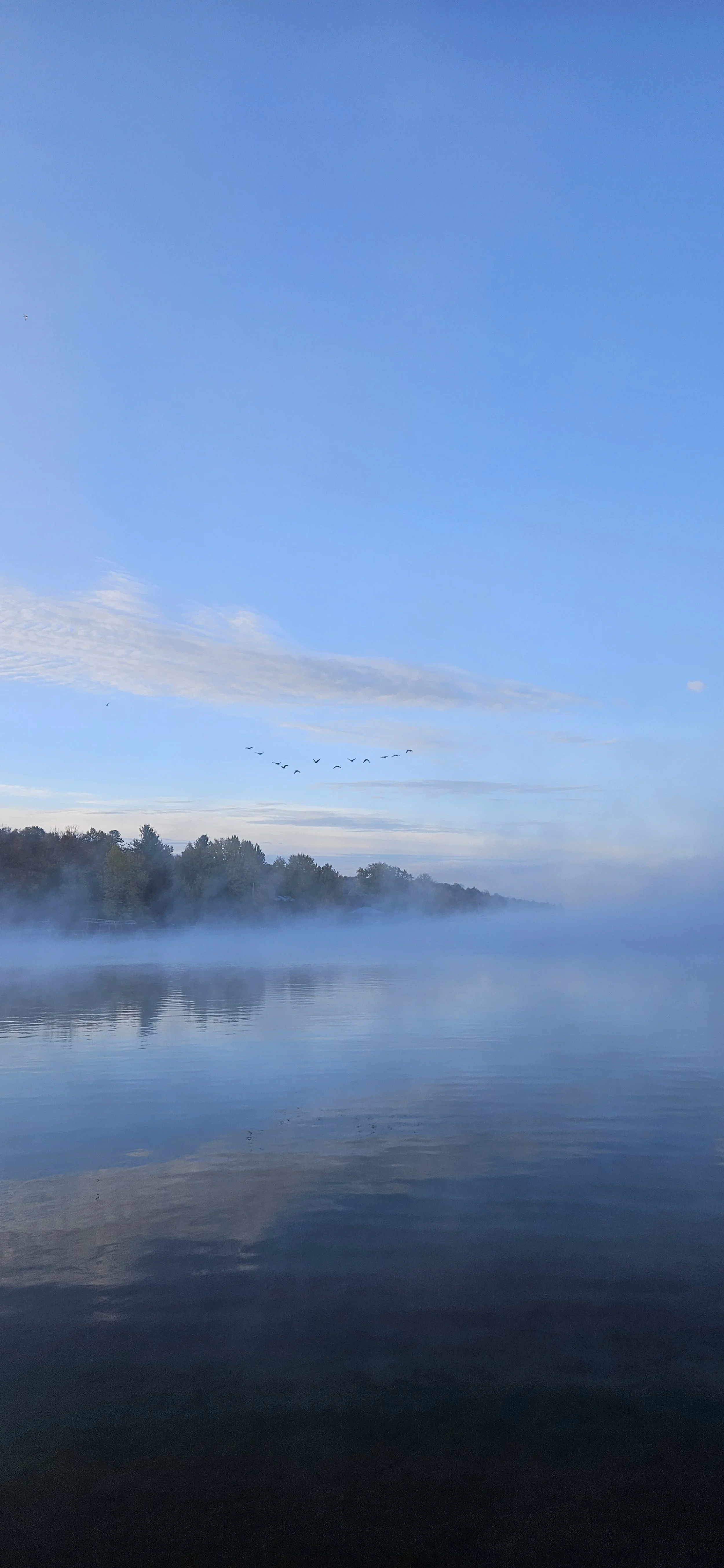 A calm body of water with mist rising from its surface, a line of trees in the background, and a flock of birds flying in a V formation against a clear blue sky with some clouds.