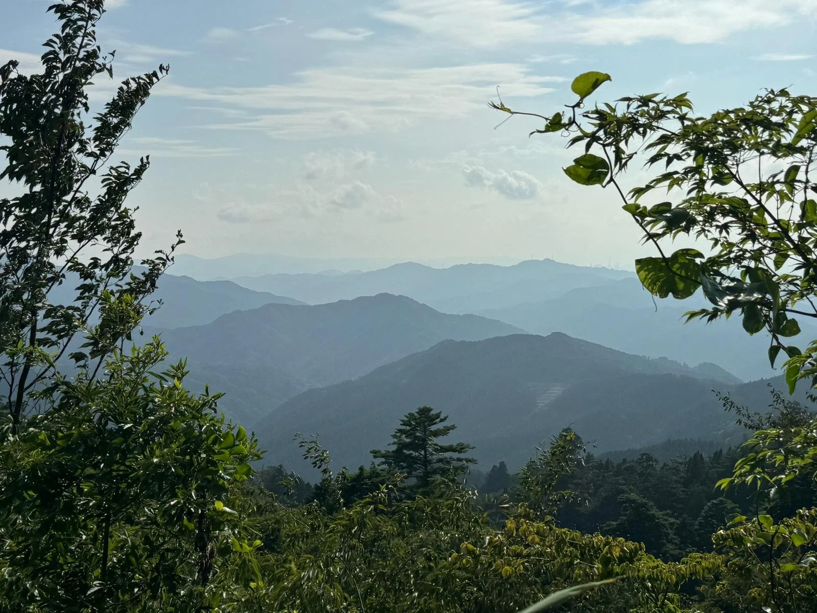 Scenic view of rolling blue mountains with lush green trees in the foreground and a partly cloudy sky overhead.