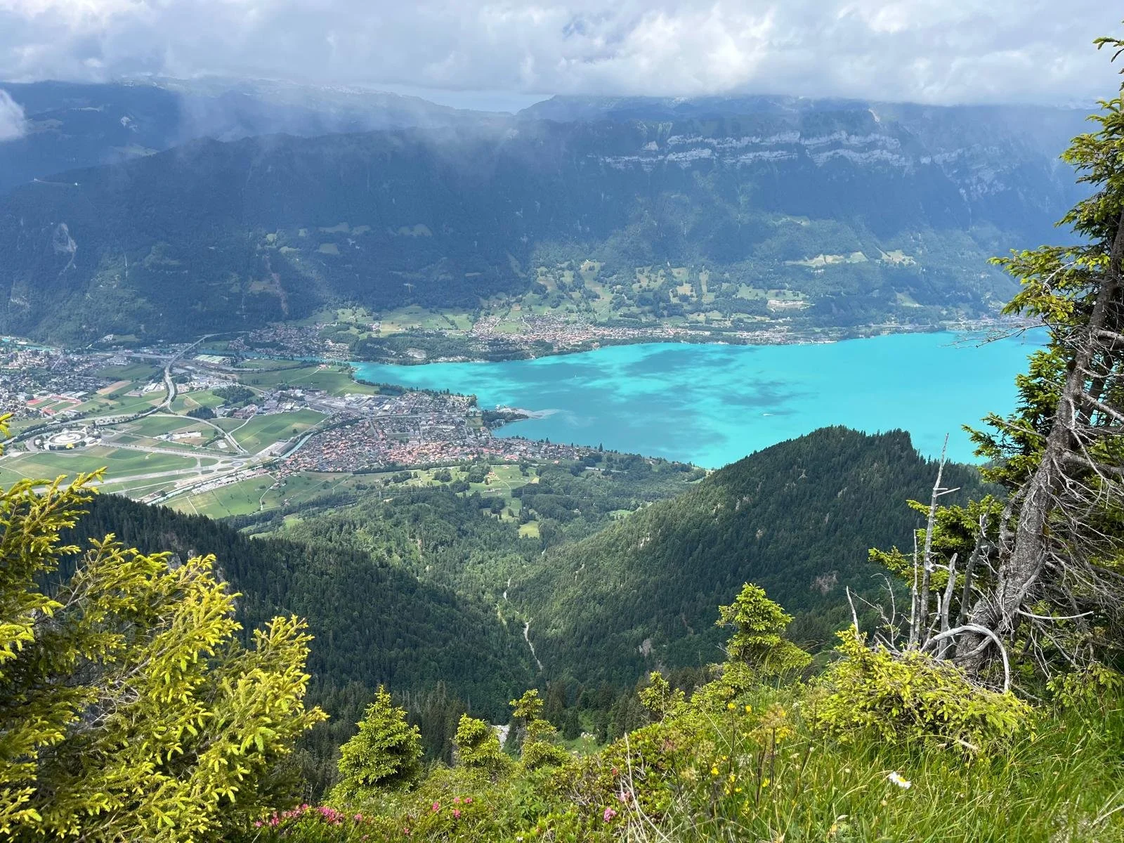 Aerial view of a turquoise lake surrounded by green forests and a small town at the foot of mountains.