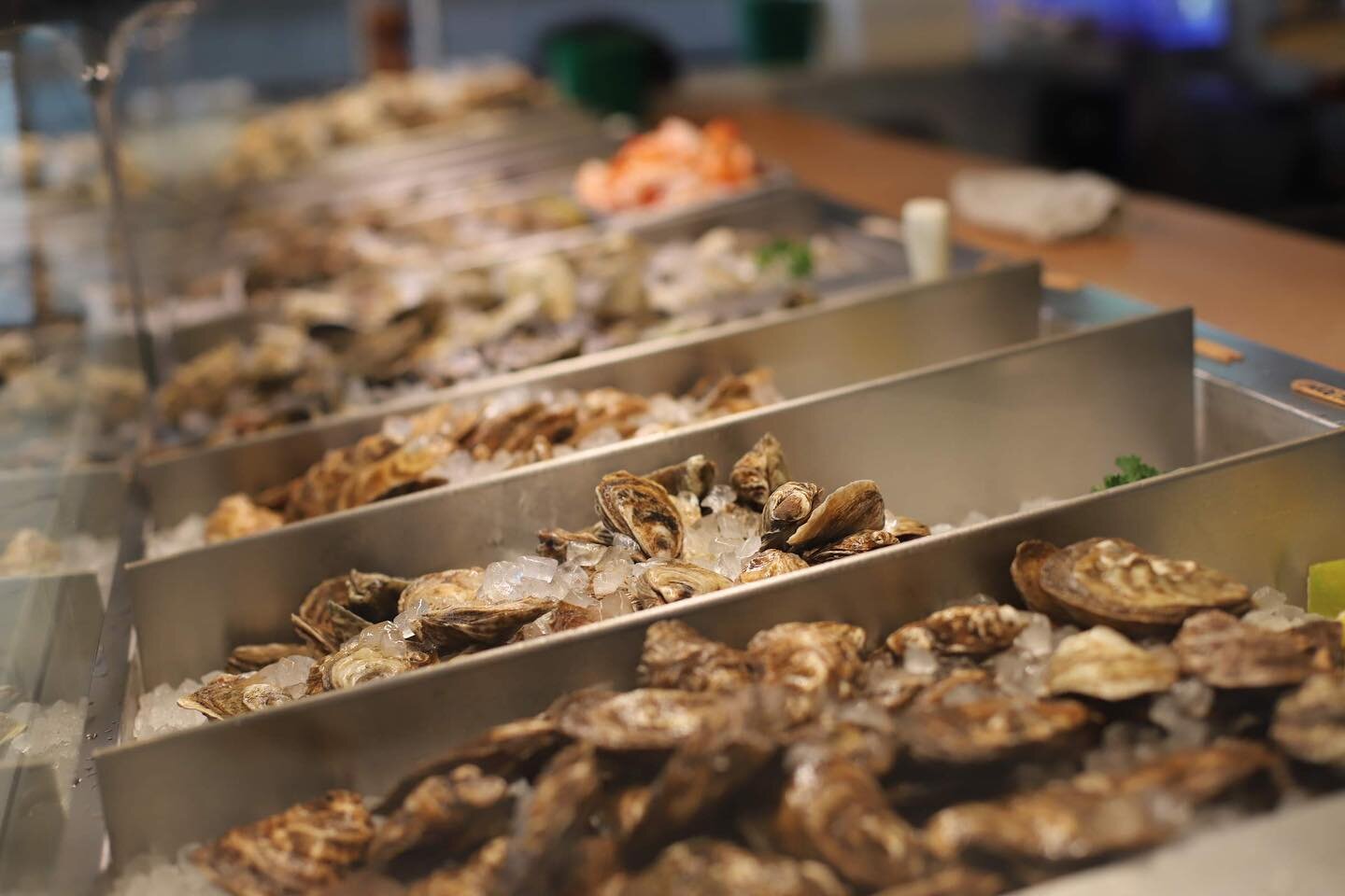 Our #rawbar is always stocked with the freshest shellfish, and you can even take a seat and enjoy the action as our team serves up your favorites! 🦐🦪
.
#shellfish #oysters #shrimp #newtownpa #newtown #buckscountypa #buckscounty #newrestaurant