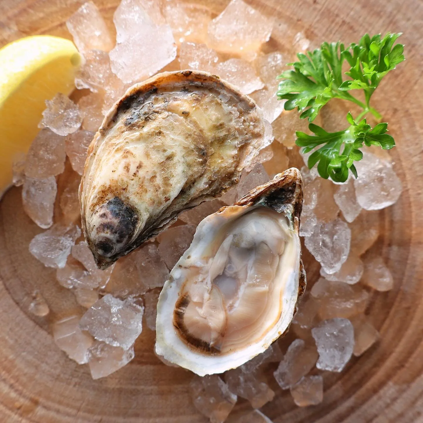 🦪Oyster Spotlight🦪: Coming to you from Miramichi Bay in New Brunswick Canada we have the BeauSoliel oysters! BeauSoliel oysters have a full and firm flesh with both a salty and sweet taste and a hint of hazelnut. First of our oyster highlight serie