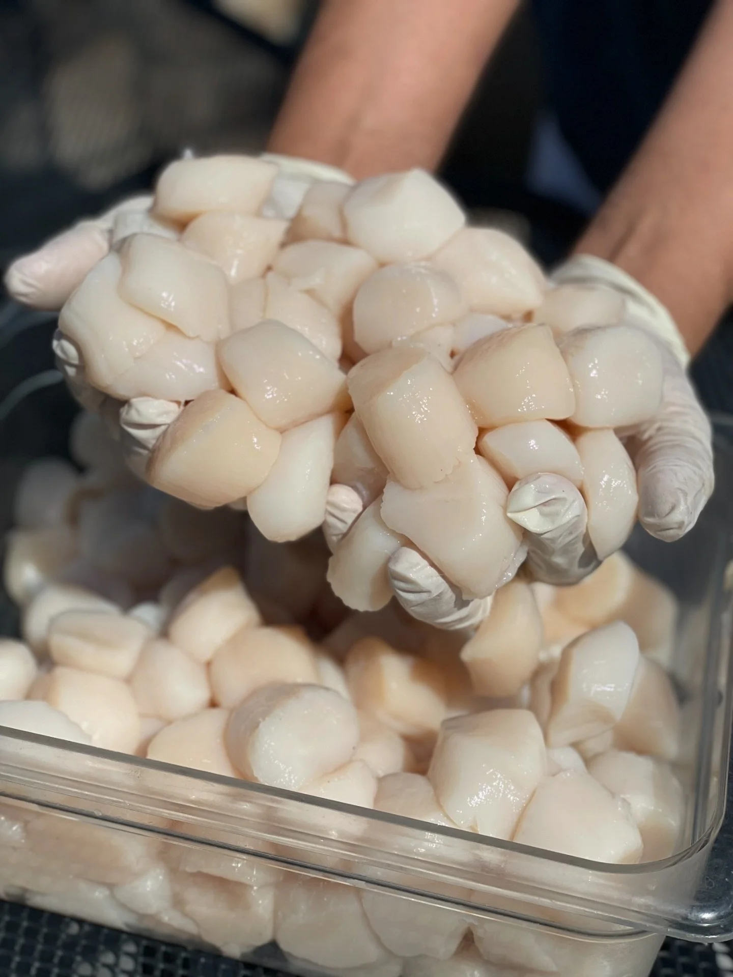 Just in 🚨 Barnegat dayboat sea scallops

Fresh off the boat, clean, sweet, and simply done &mdash; and they won&rsquo;t be around long 🦪

Join us at Blue Point Grill in Newtown this weekend 🍽️

Book your table now through the link in our bio to ma