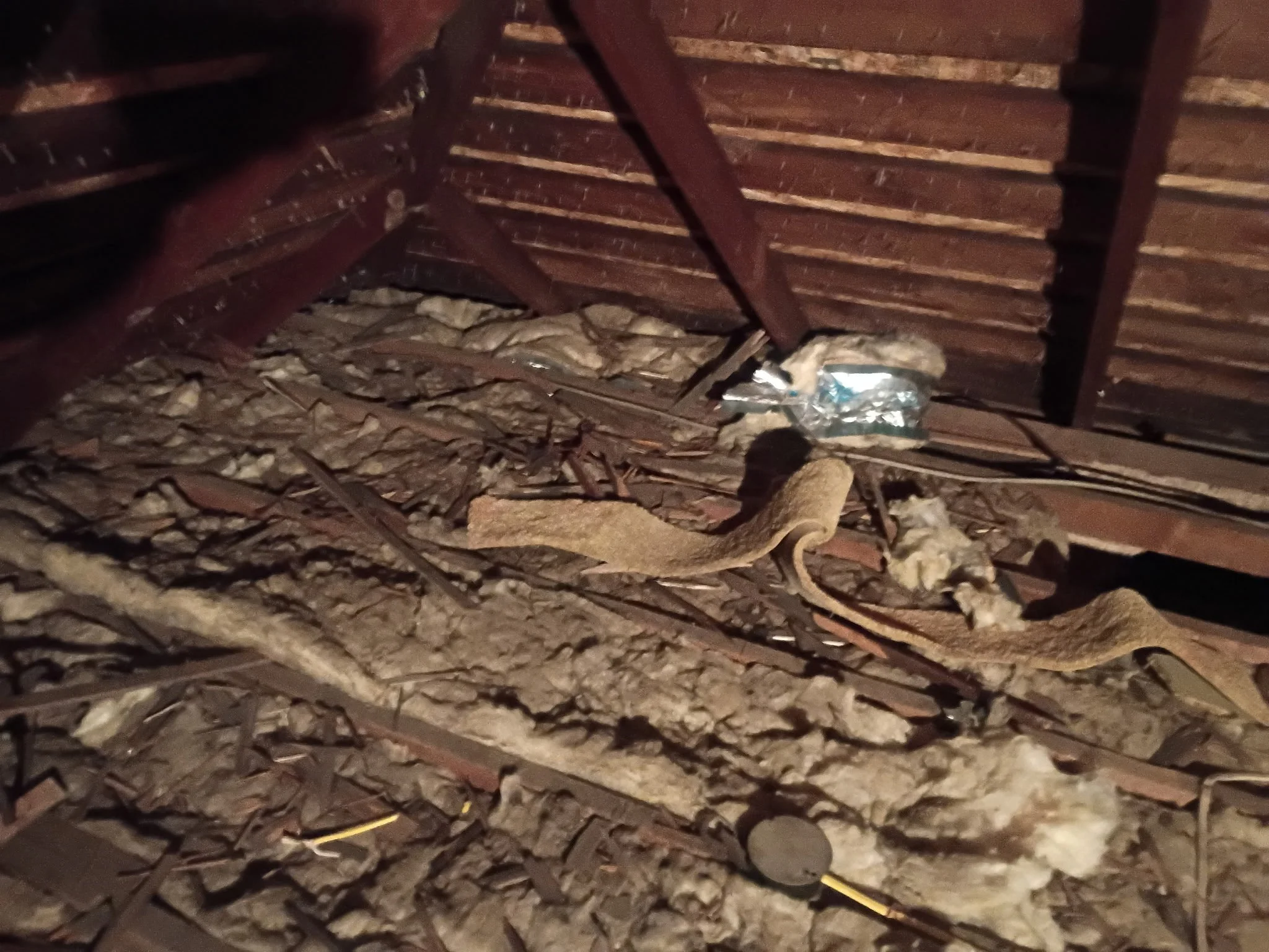 Rotting Rafters