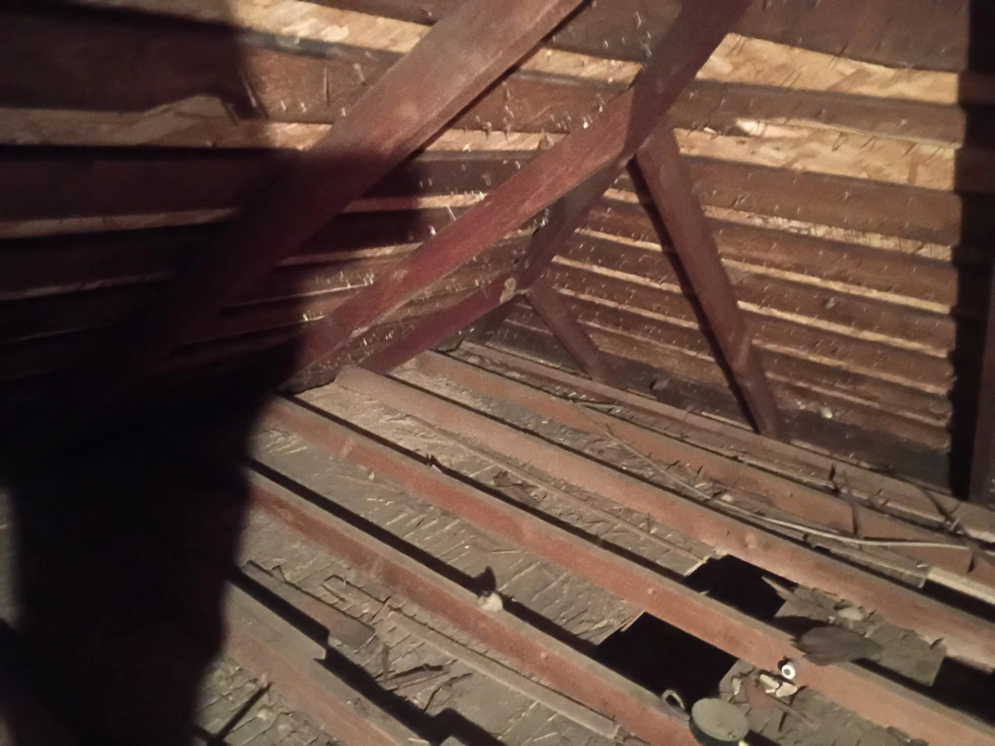 Rafters