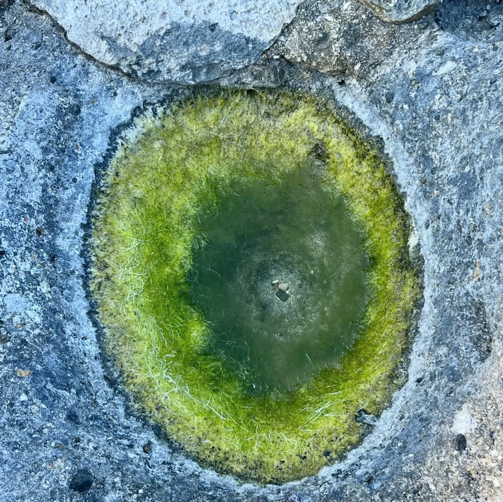 Is there anything more beautiful and mesmerizing than colors and patterns in nature? Mother Earth: the ultimate artist.

Five nourishing days stepping out of the routine and into the moment, absorbing my surroundings. Getting lost in the green of the