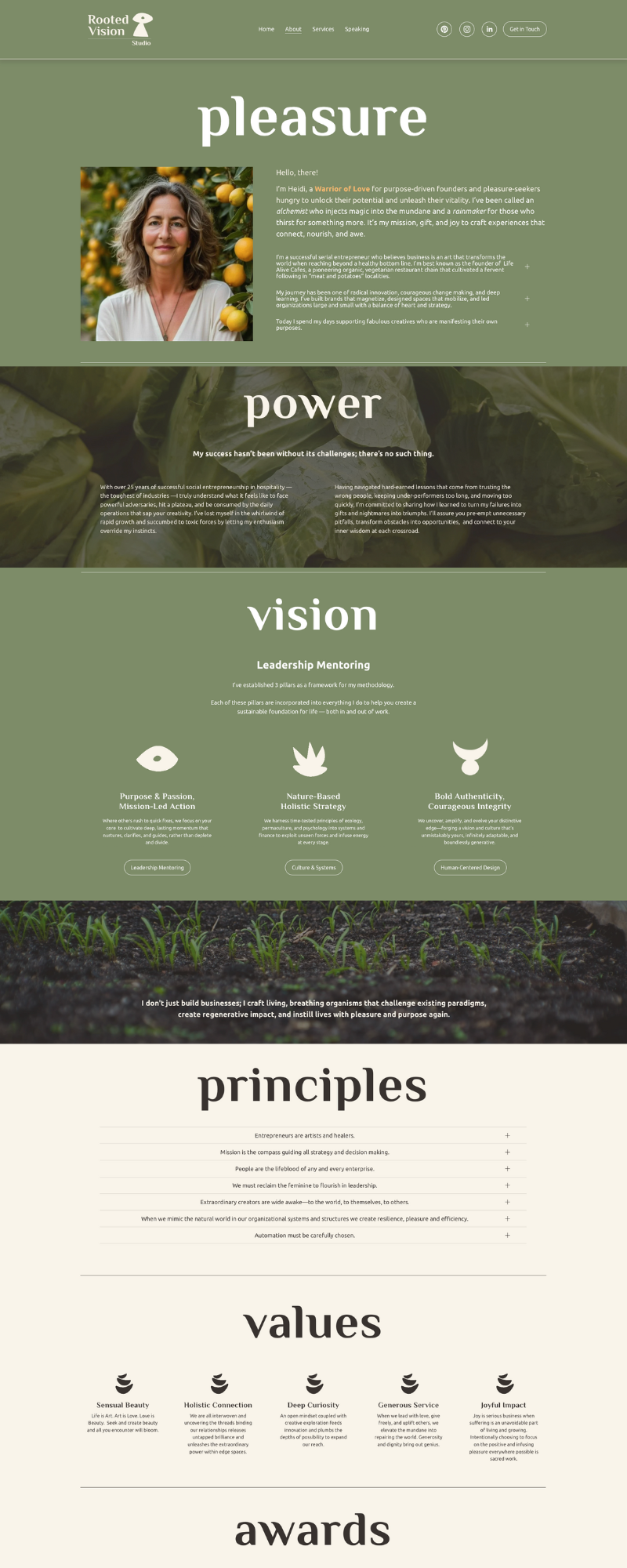 RVS - About - Portfolio.png