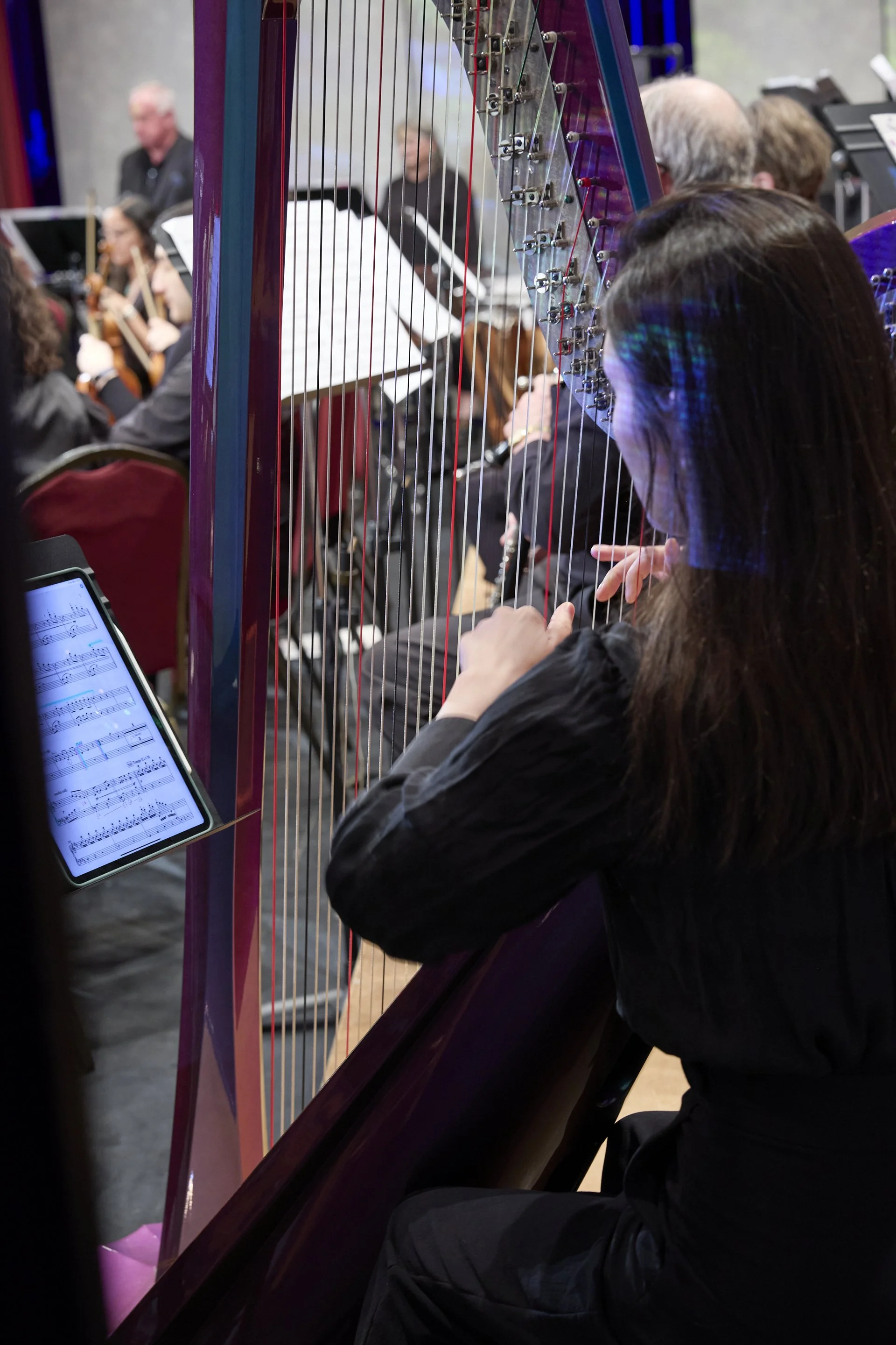 America the Beautiful Performance Web 44.jpg