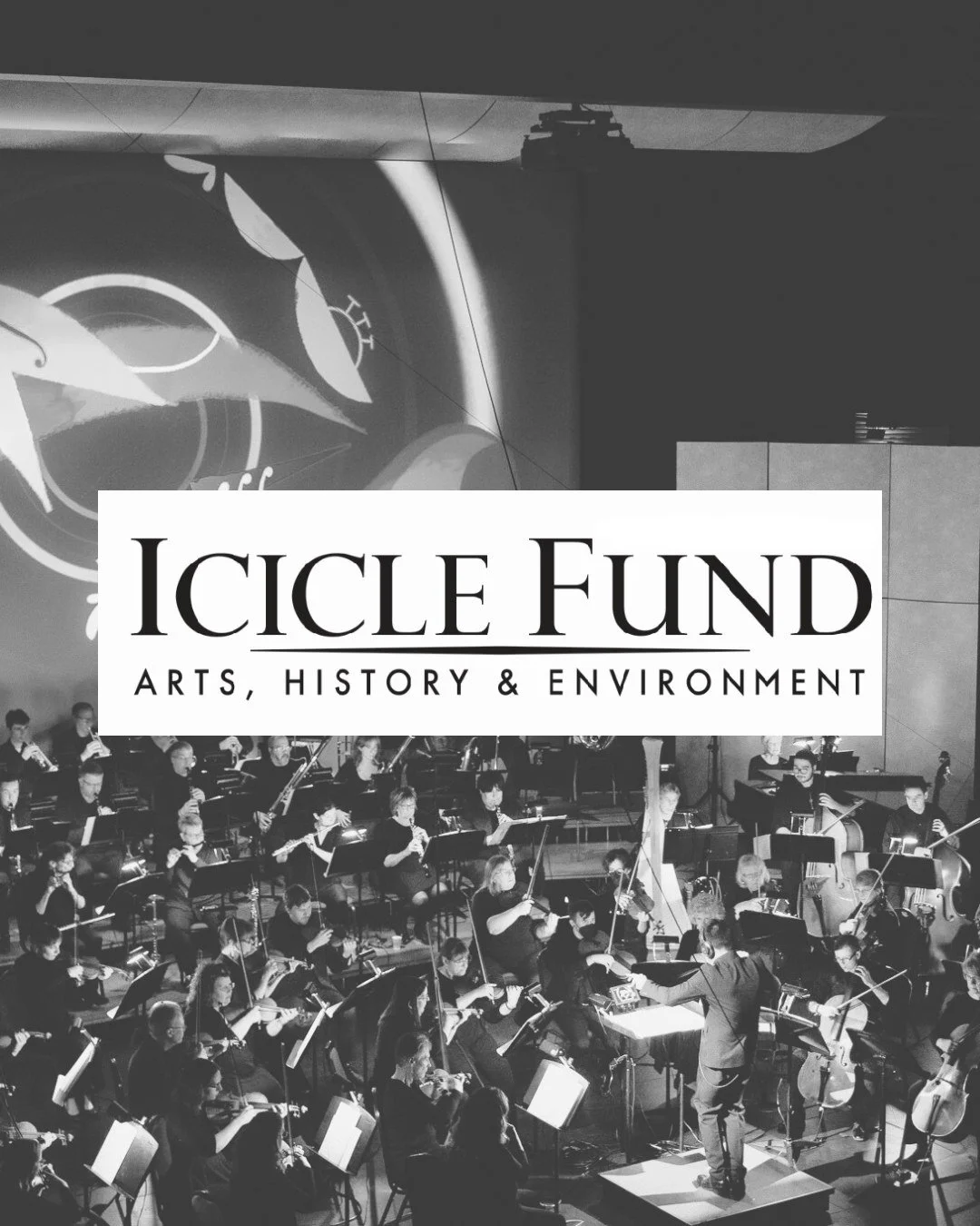 We are deeply grateful to the Icicle Fund for their generous support and belief in our mission. 

Their commitment to strengthening connections between people, place, and the arts in North Central Washington makes a meaningful difference in our commu