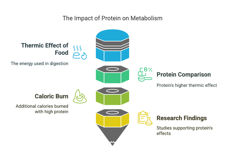 Protien Effect 10 Science-Backed Reasons to Eat More Protein — PYORITY